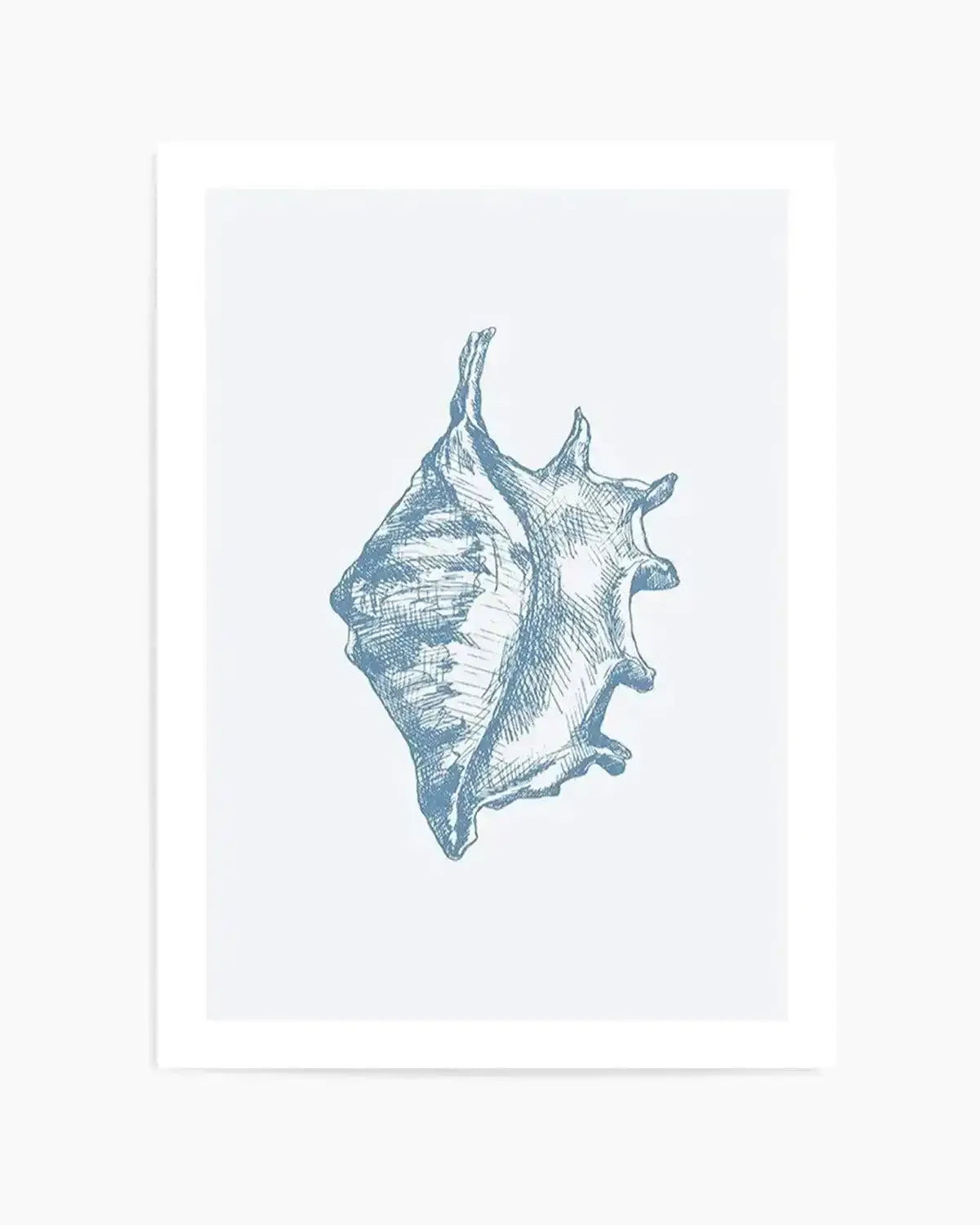 Seashell | Conch Art Print from Olive et Oriel where you can shop wallpaper and artworks online