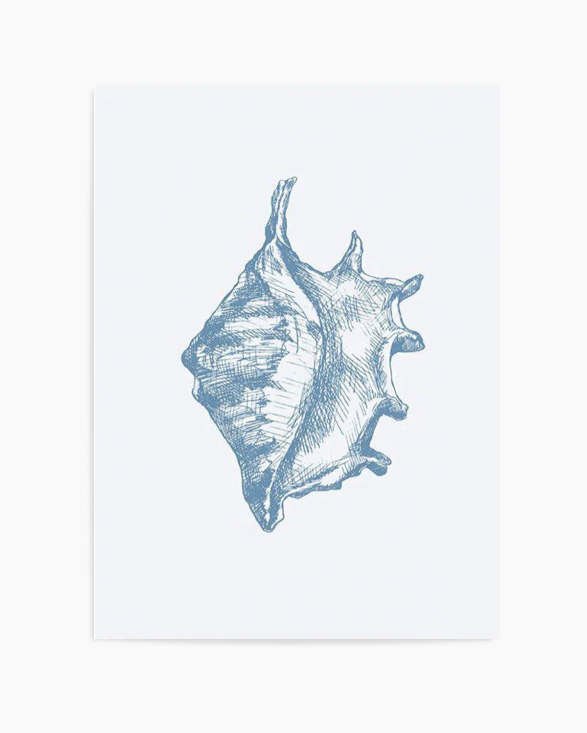 Seashell | Conch Art Print