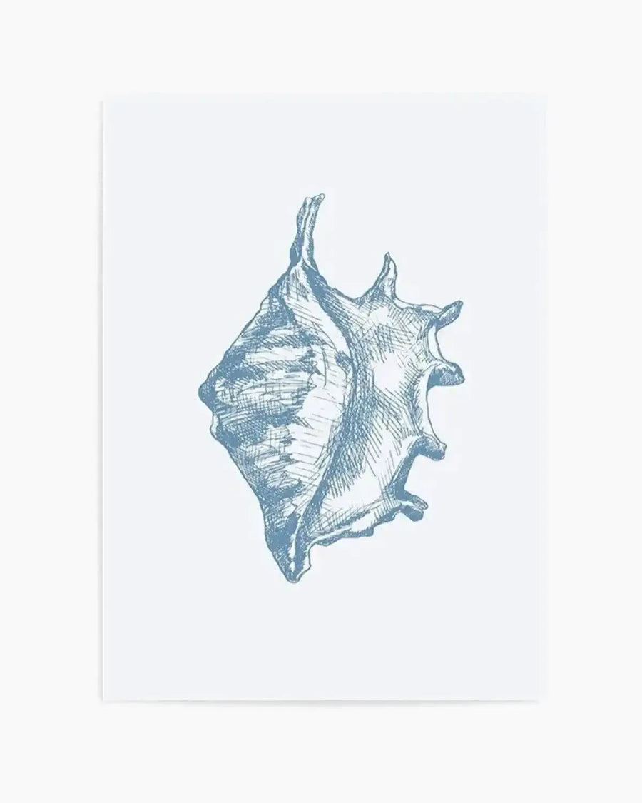 Detailed line drawing of a conch shell rendered in blue-grey ink on white paper. The illustration uses fine crosshatching and linear shading techniques to create depth and dimension across the shell's ridged surface. The shell is oriented vertically with its spiral apex pointing upward and its flared opening facing downward, displaying the characteristic bumps and ridges along its edges. The artwork is mounted on a white background with a subtle grey border visible on the left edge of the print.