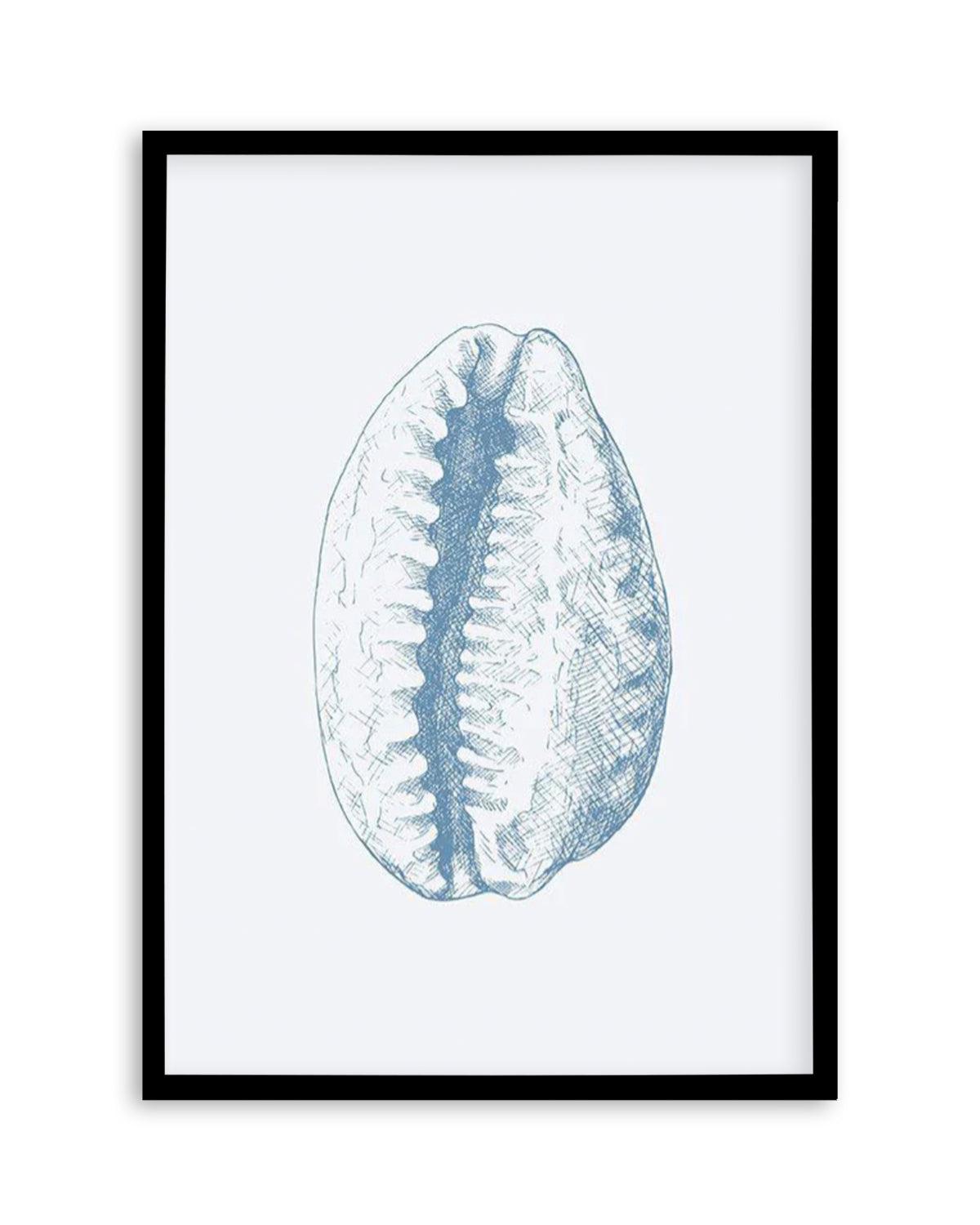 Seashell | Tiger Cowrie Art Print