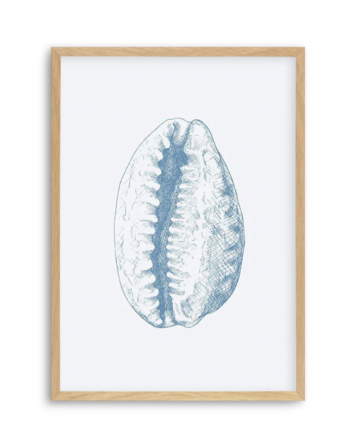 Seashell | Tiger Cowrie Art Print