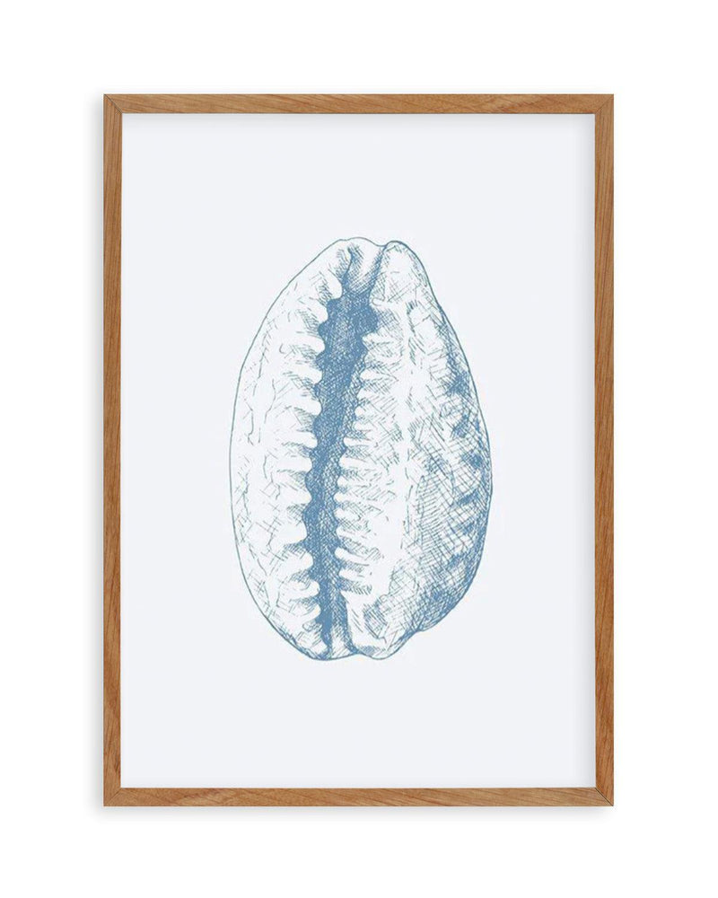 Seashell | Tiger Cowrie Art Print