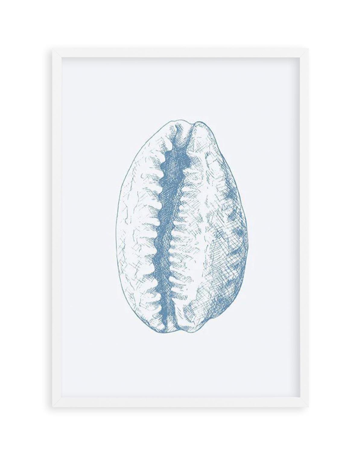 Seashell | Tiger Cowrie Art Print