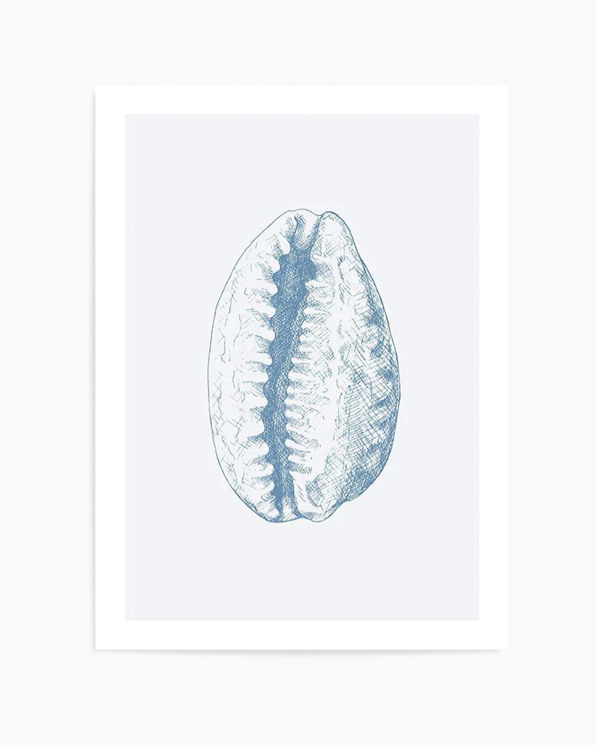 Seashell | Tiger Cowrie Art Print