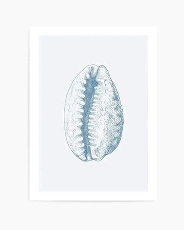 Seashell | Tiger Cowrie Art Print from Olive et Oriel where you can shop wallpaper and artworks online