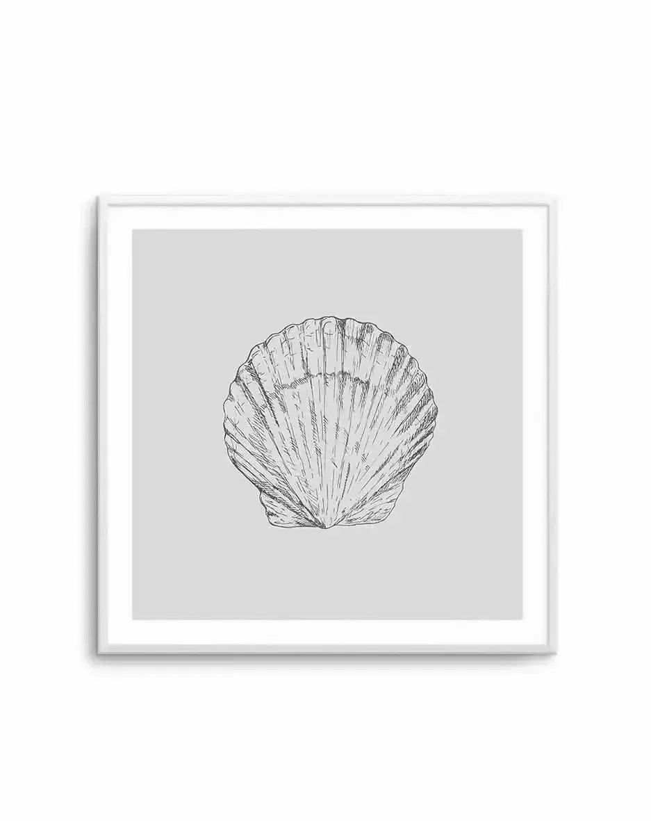 Seashell | Bay Scallop SQ Art Print-PRINT-Olive et Oriel-Olive et Oriel-Buy-Australian-Art-Prints-Online-with-Olive-et-Oriel-Your-Artwork-Specialists-Austrailia-Decorate-With-Coastal-Photo-Wall-Art-Prints-From-Our-Beach-House-Artwork-Collection-Fine-Poster-and-Framed-Artwork