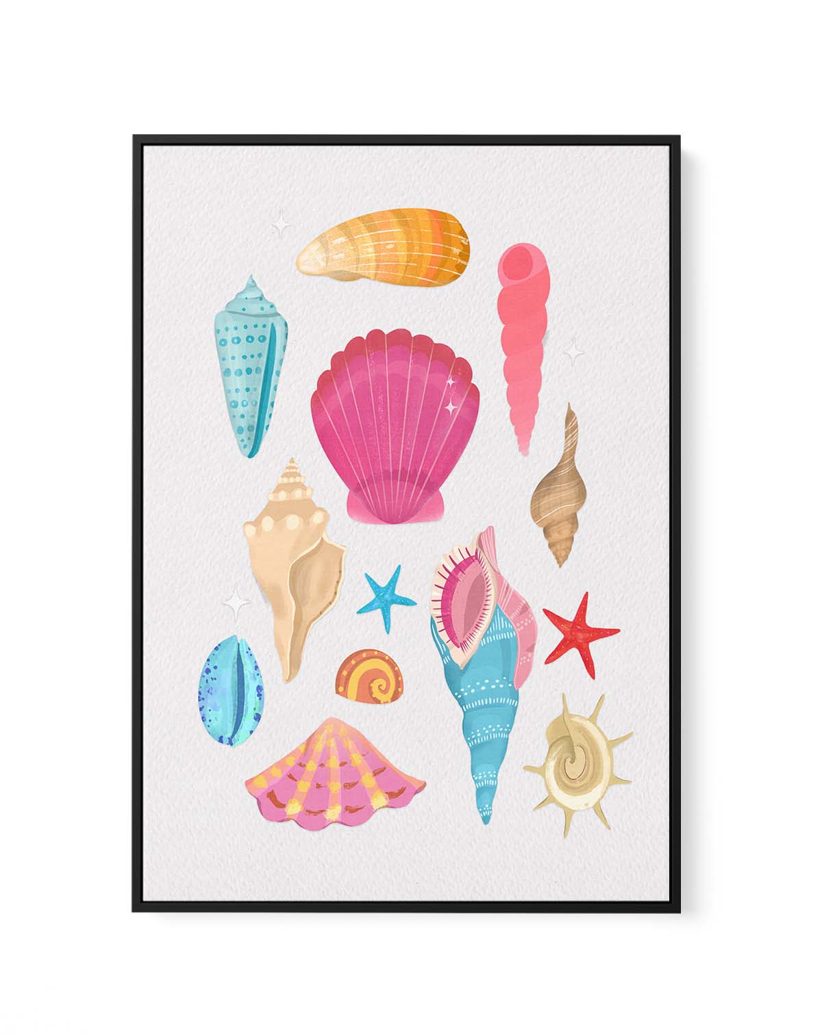 Seashells By Petra Lizde | Framed Canvas Art Print