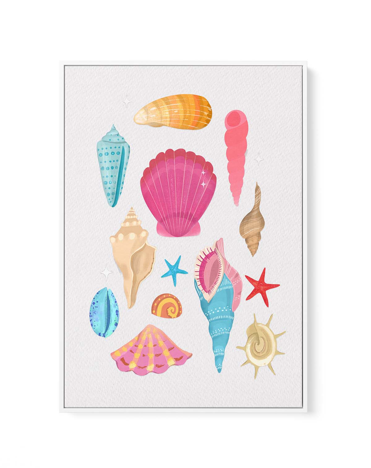 Seashells By Petra Lizde | Framed Canvas Art Print