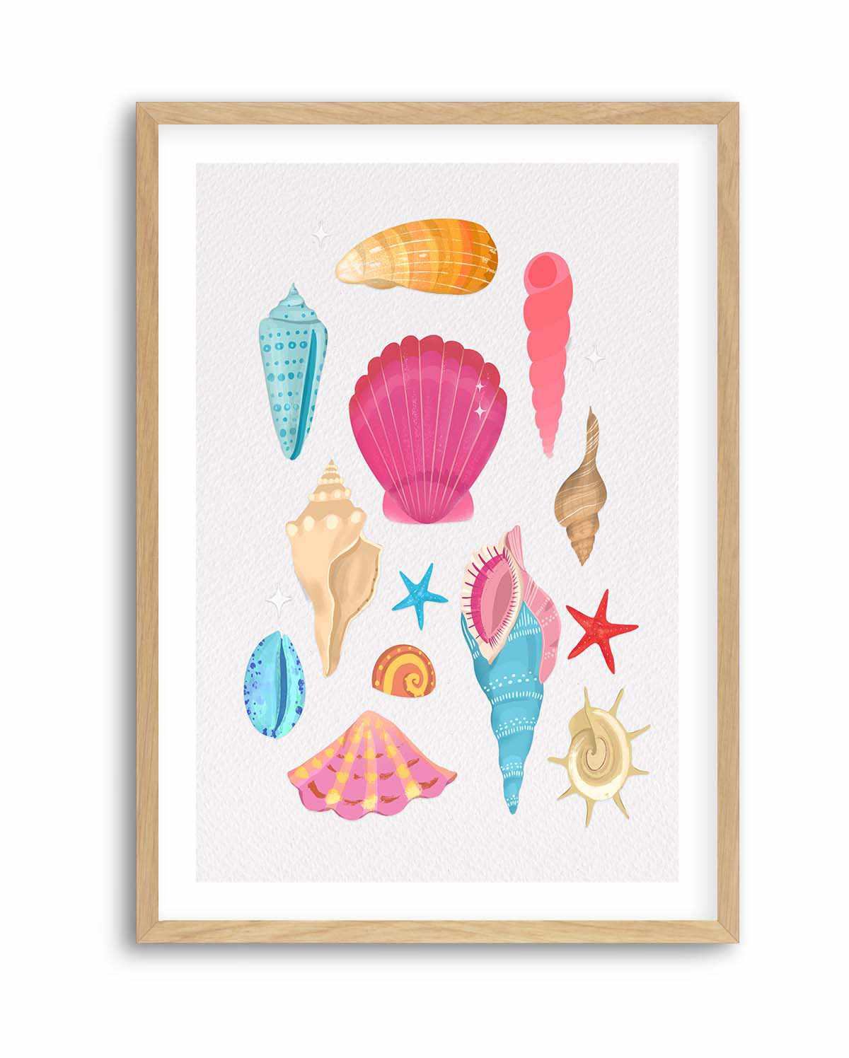 Seashells By Petra Lizde | Art Print