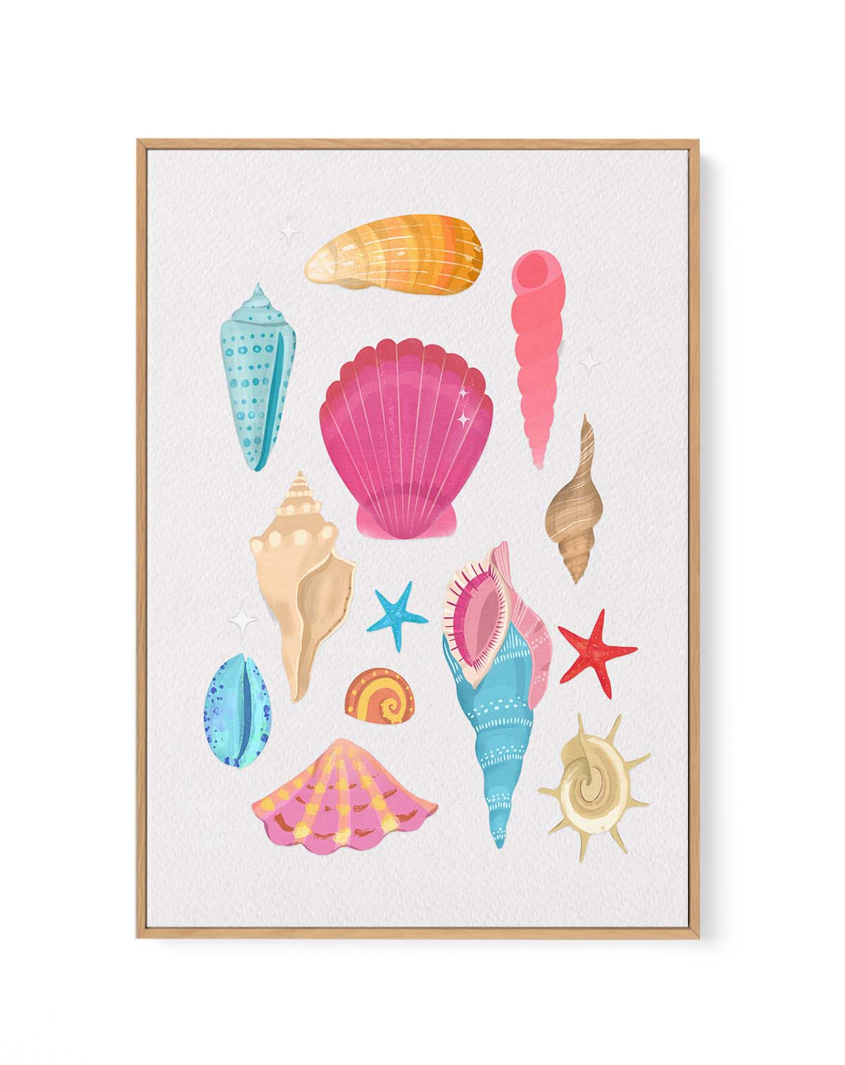 Seashells By Petra Lizde | Framed Canvas Art Print