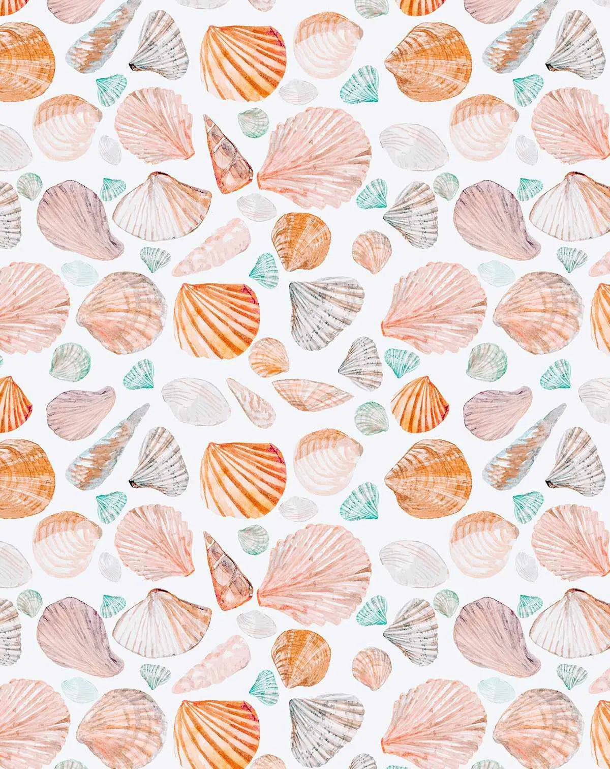 Seashells Wallpaper-Wallpaper-Buy Kids Removable Wallpaper Online Our Custom Made Children√¢‚Ç¨‚Ñ¢s Wallpapers Are A Fun Way To Decorate And Enhance Boys Bedroom Decor And Girls Bedrooms They Are An Amazing Addition To Your Kids Bedroom Walls Our Collection of Kids Wallpaper Is Sure To Transform Your Kids Rooms Interior Style From Pink Wallpaper To Dinosaur Wallpaper Even Marble Wallpapers For Teen Boys Shop Peel And Stick Wallpaper Online Today With Olive et Oriel