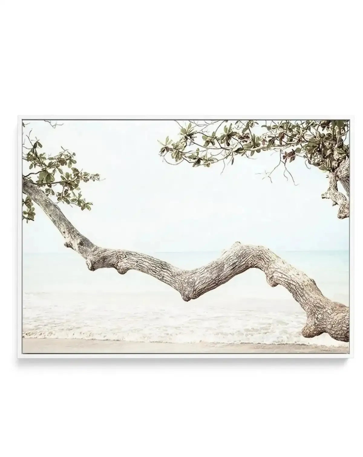 Seaside Bliss II | Framed Canvas-CANVAS-You can shop wall art online with Olive et Oriel for everything from abstract art to fun kids wall art. Our beautiful modern art prints and canvas art are available from large canvas prints to wall art paintings and our proudly Australian artwork collection offers only the highest quality framed large wall art and canvas art Australia - You can buy fashion photography prints or Hampton print posters and paintings on canvas from Olive et Oriel and have them