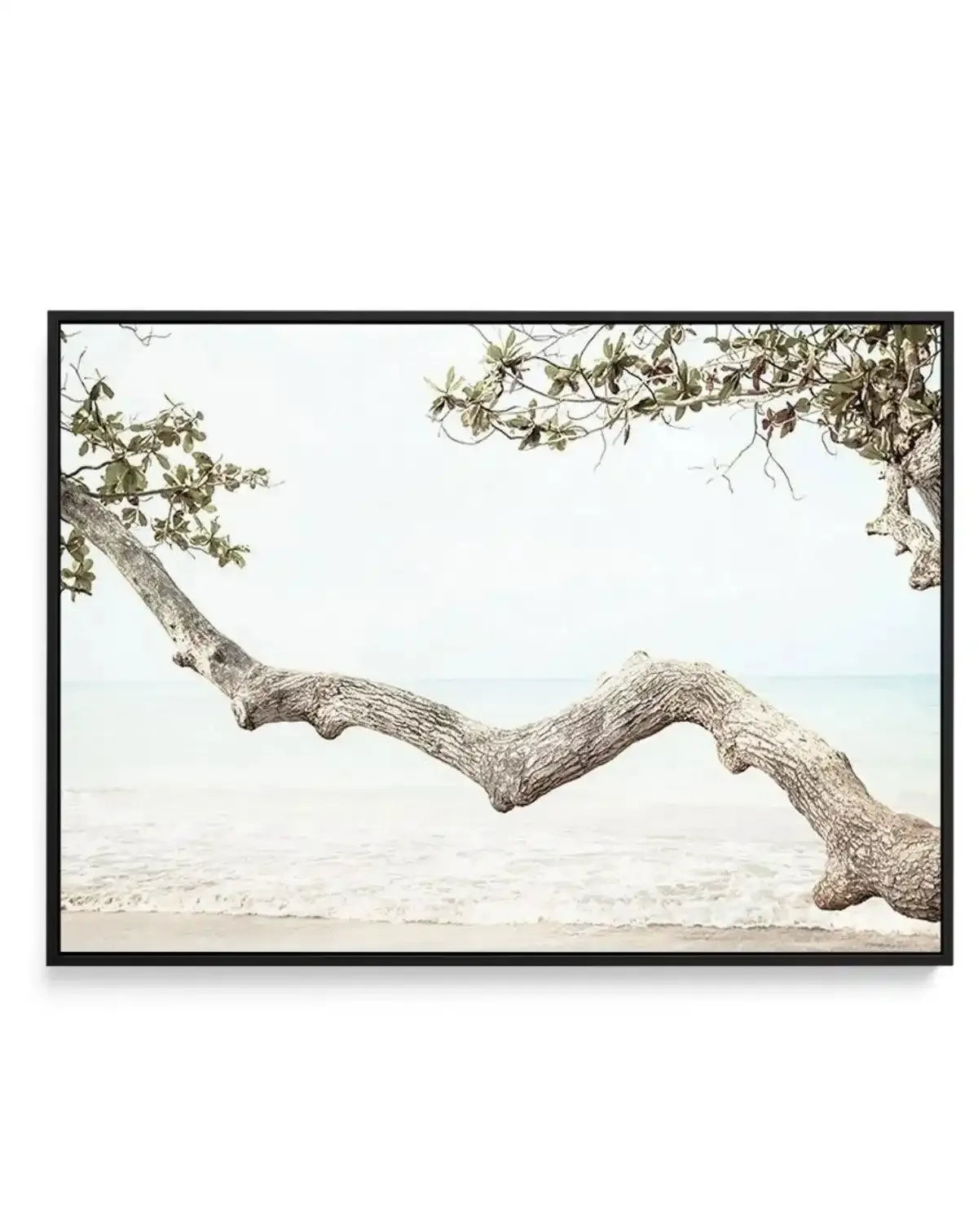 Seaside Bliss II | Framed Canvas-CANVAS-You can shop wall art online with Olive et Oriel for everything from abstract art to fun kids wall art. Our beautiful modern art prints and canvas art are available from large canvas prints to wall art paintings and our proudly Australian artwork collection offers only the highest quality framed large wall art and canvas art Australia - You can buy fashion photography prints or Hampton print posters and paintings on canvas from Olive et Oriel and have them