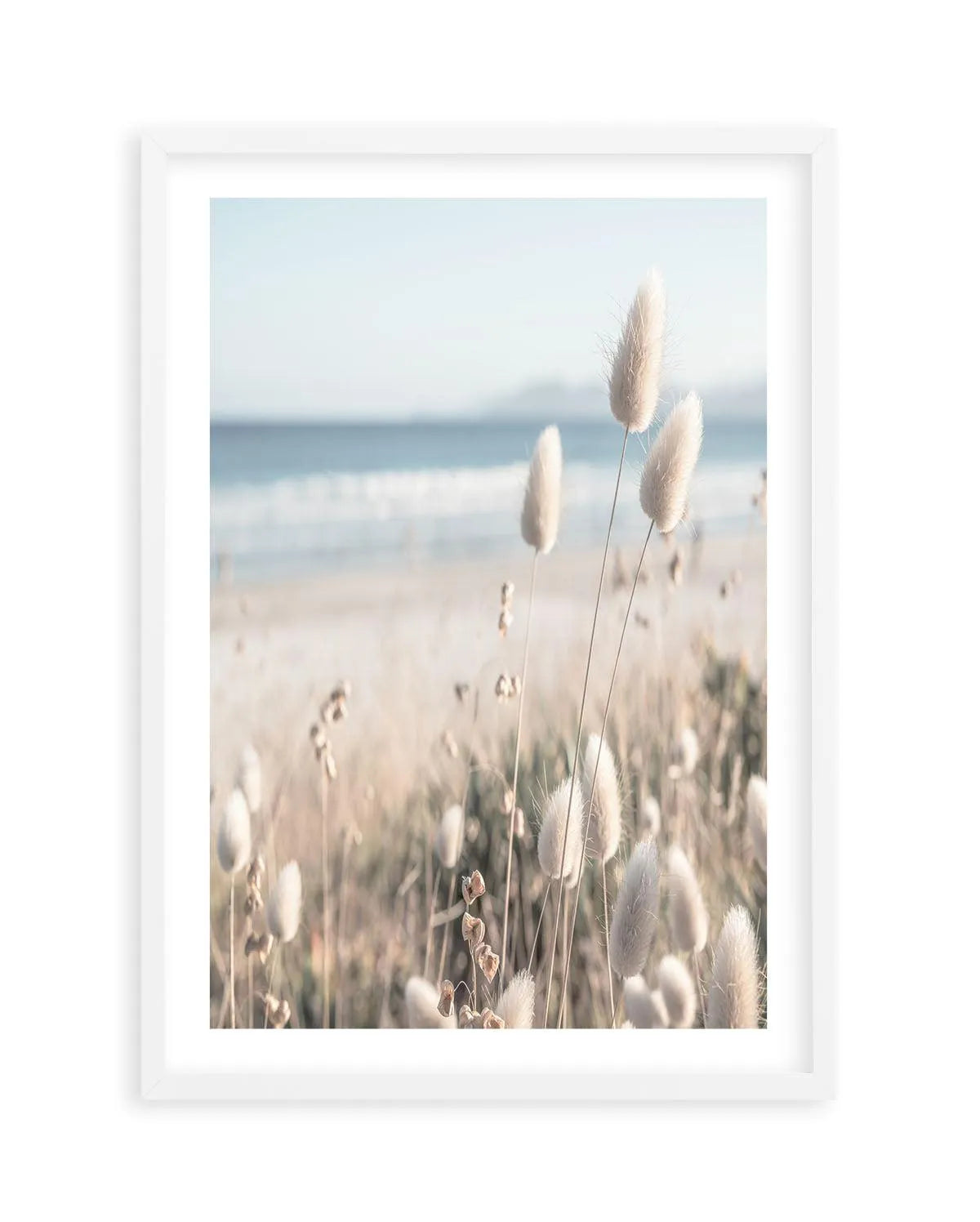 Seaside Grass Art Print | PT-PRINT-Olive et Oriel-Olive et Oriel-A5 | 5.8" x 8.3" | 14.8 x 21cm-White-With White Border-Buy-Australian-Art-Prints-Online-with-Olive-et-Oriel-Your-Artwork-Specialists-Austrailia-Decorate-With-Coastal-Photo-Wall-Art-Prints-From-Our-Beach-House-Artwork-Collection-Fine-Poster-and-Framed-Artwork