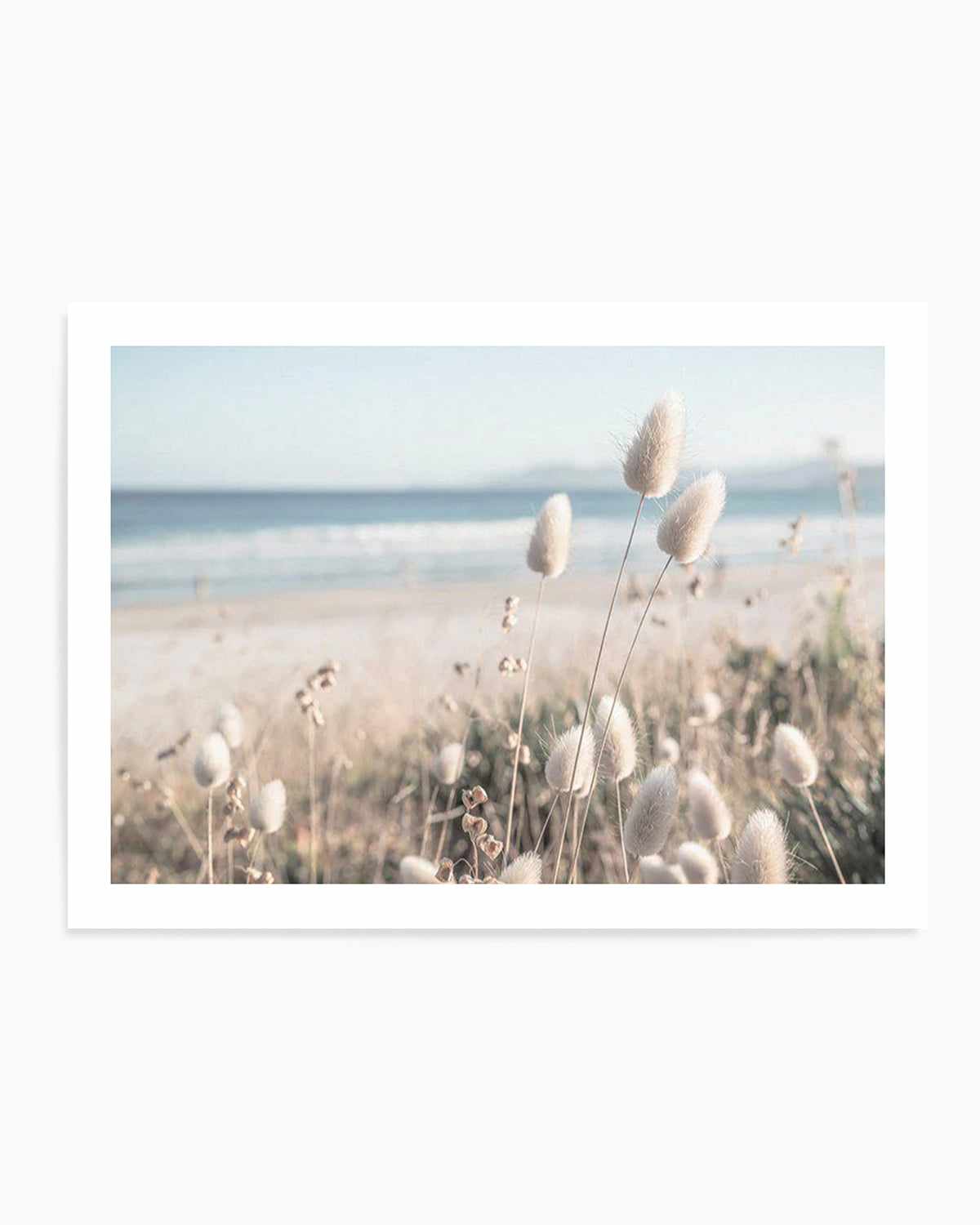 Seaside Grass Art Print