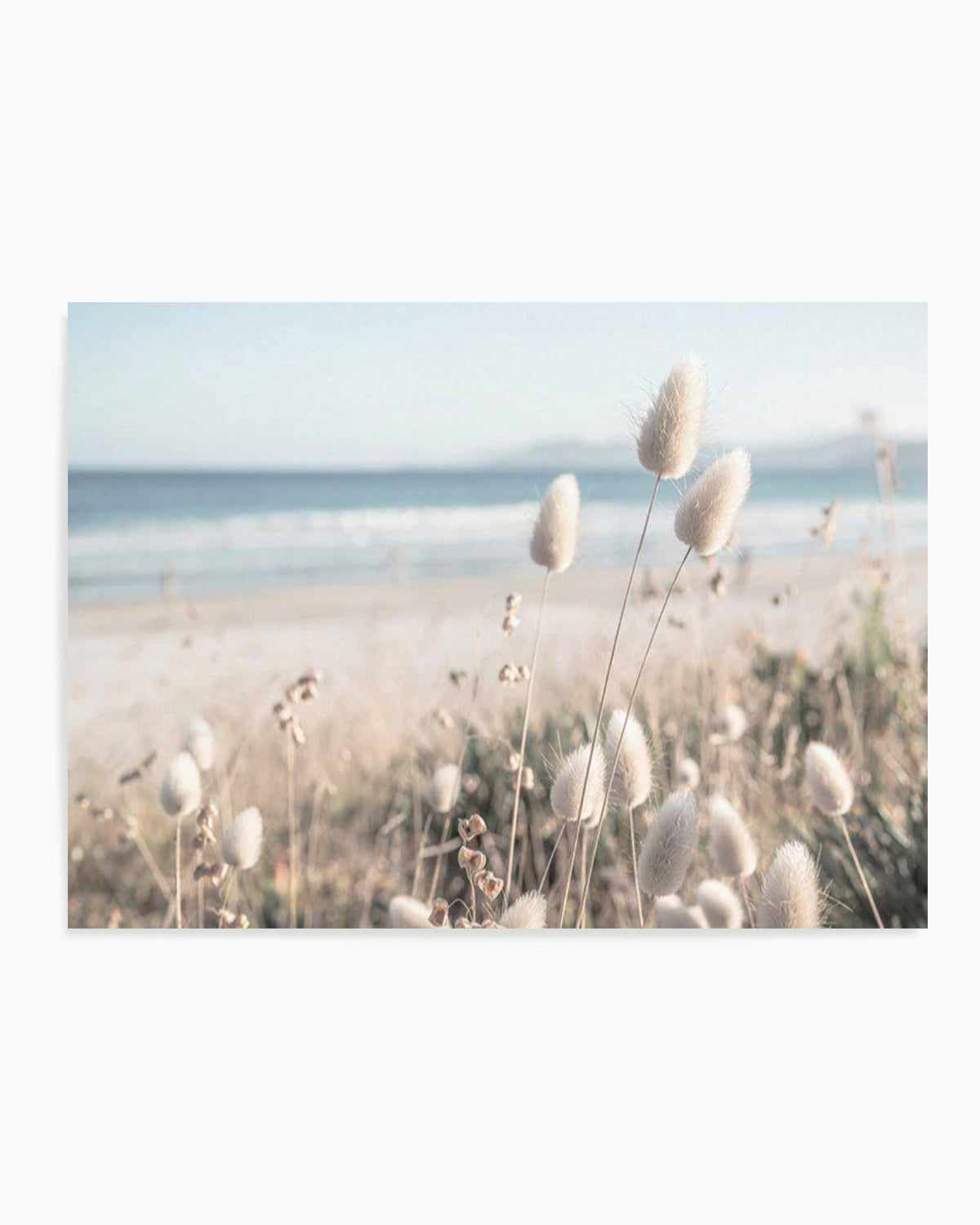 Seaside Grass Art Print