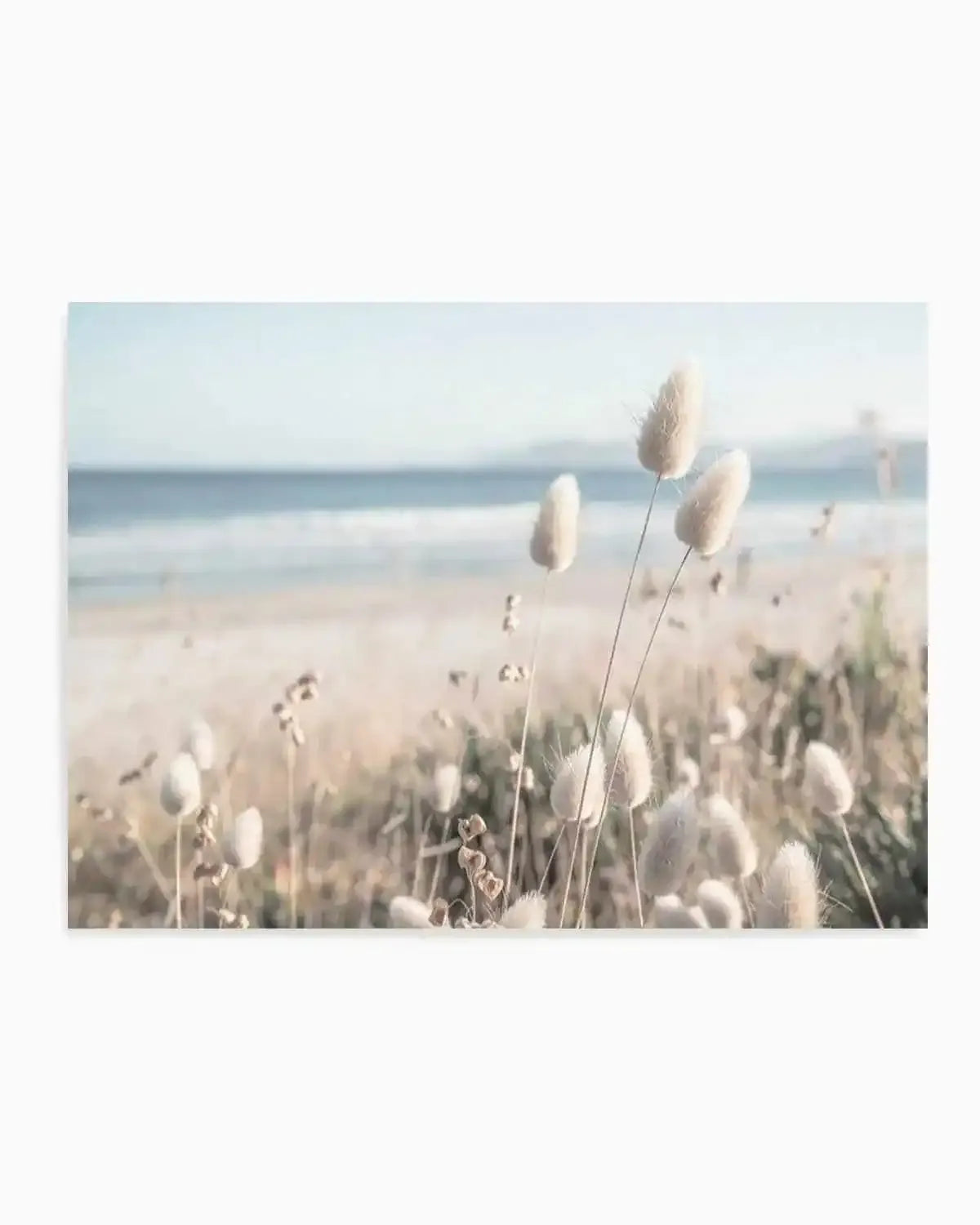 Seaside Grass Art Print from Olive et Oriel where you can shop wallpaper and artworks online