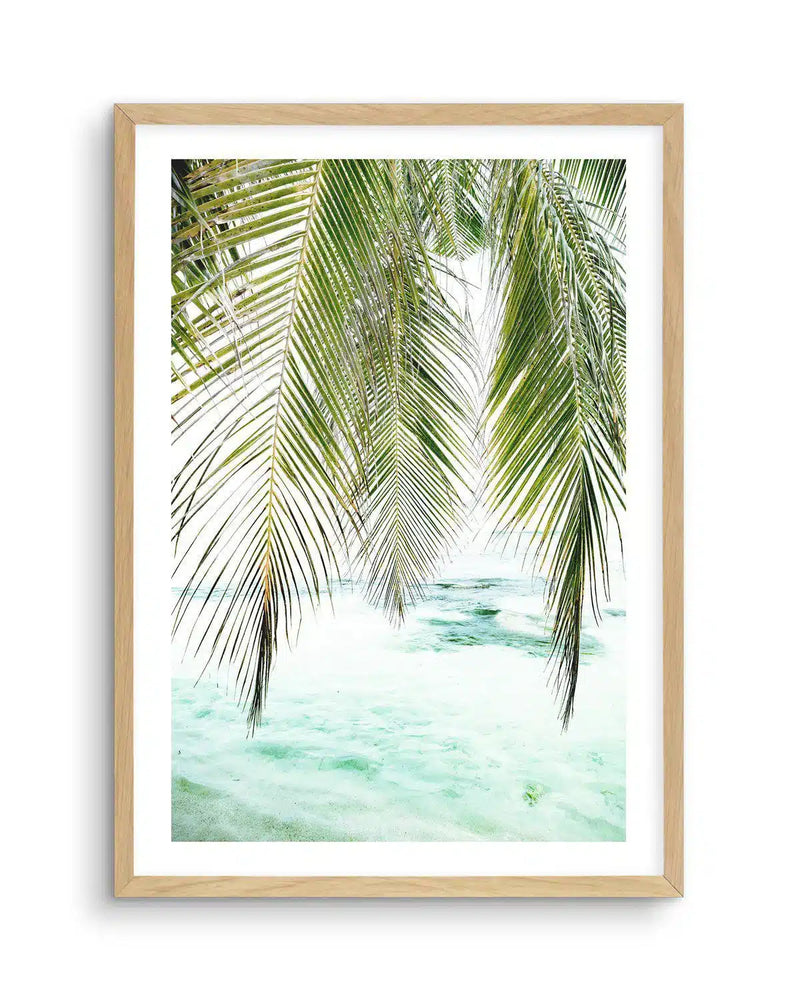 SALE 100x130 Seaside Palm| Oak | Art Print