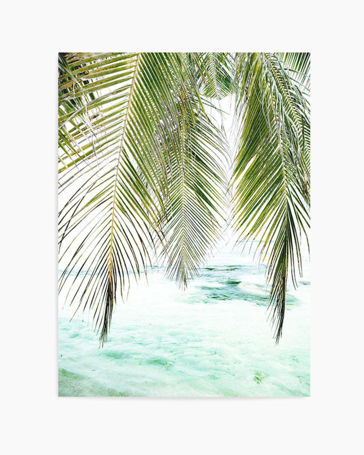 Seaside Palm Art Print