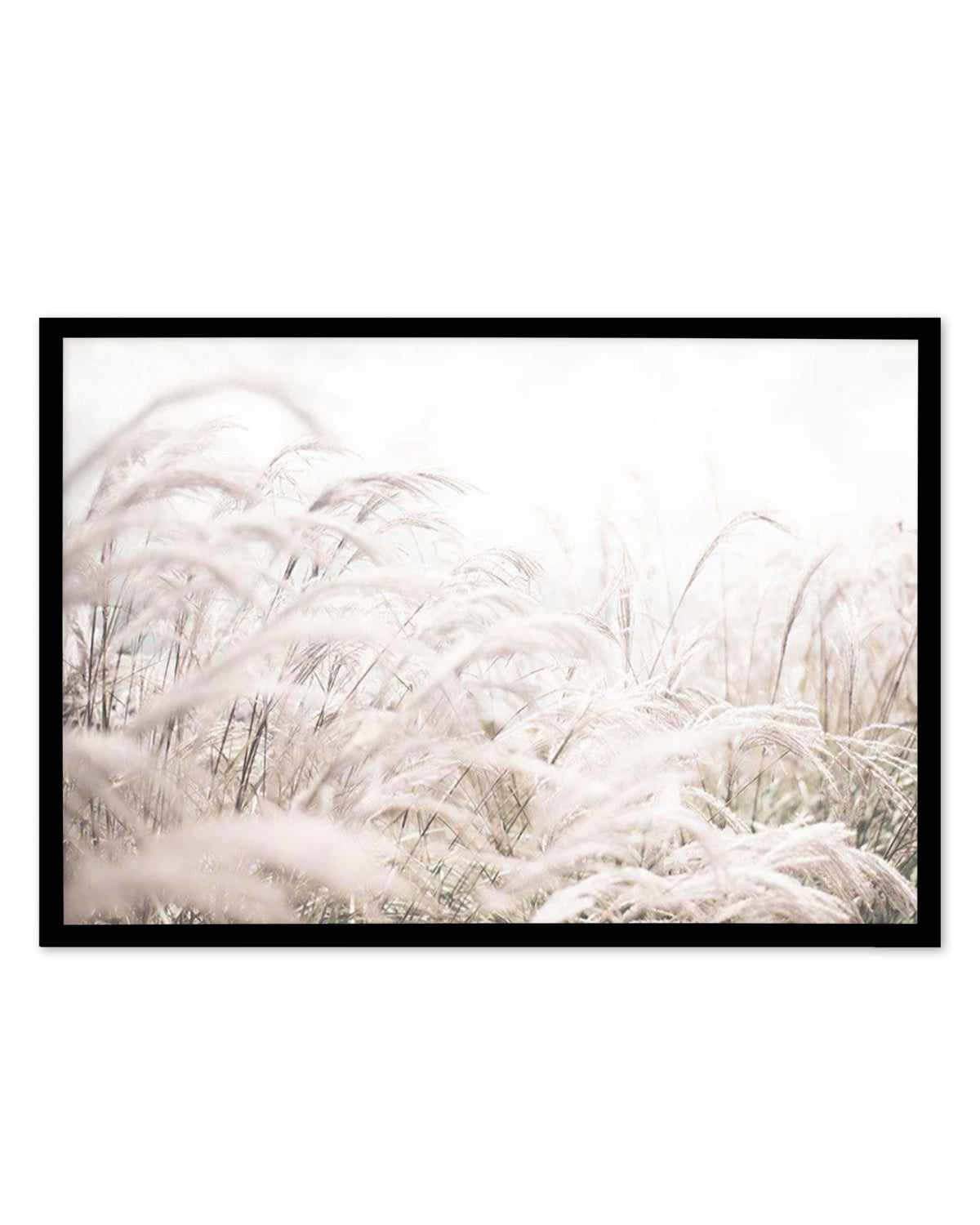 Seaside Pampas | LS Art Print