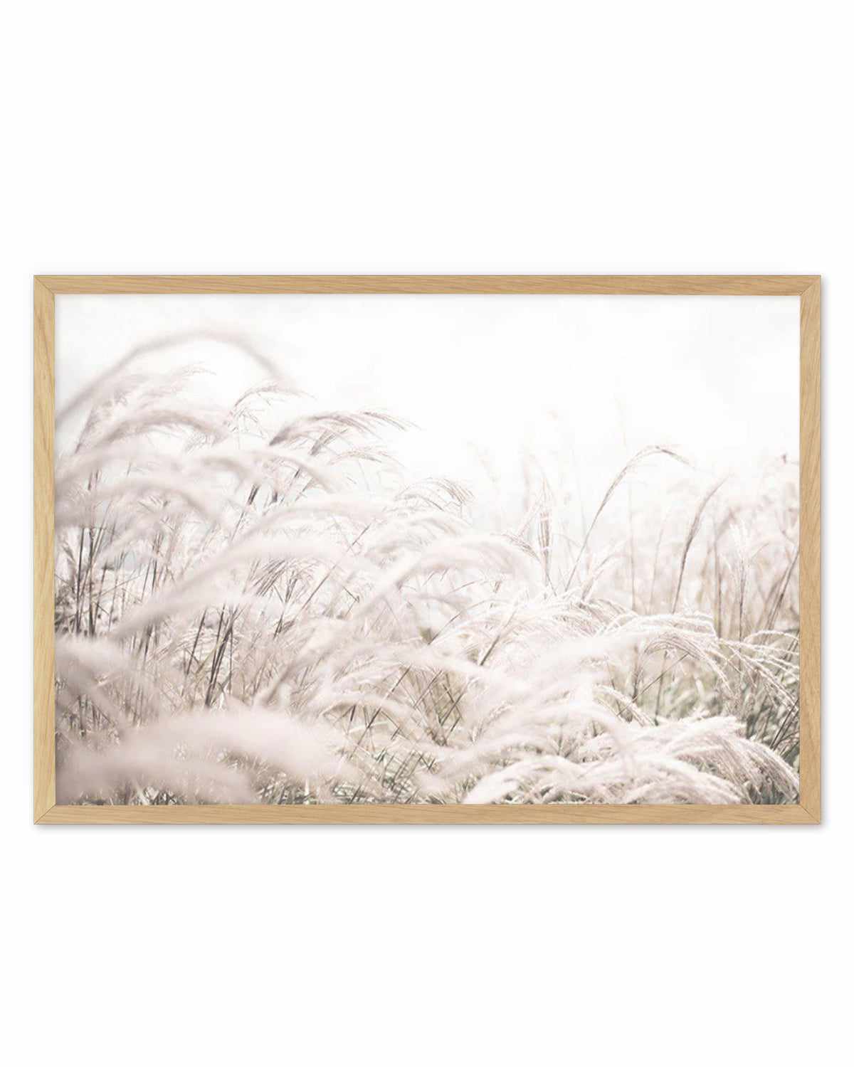 Seaside Pampas | LS Art Print