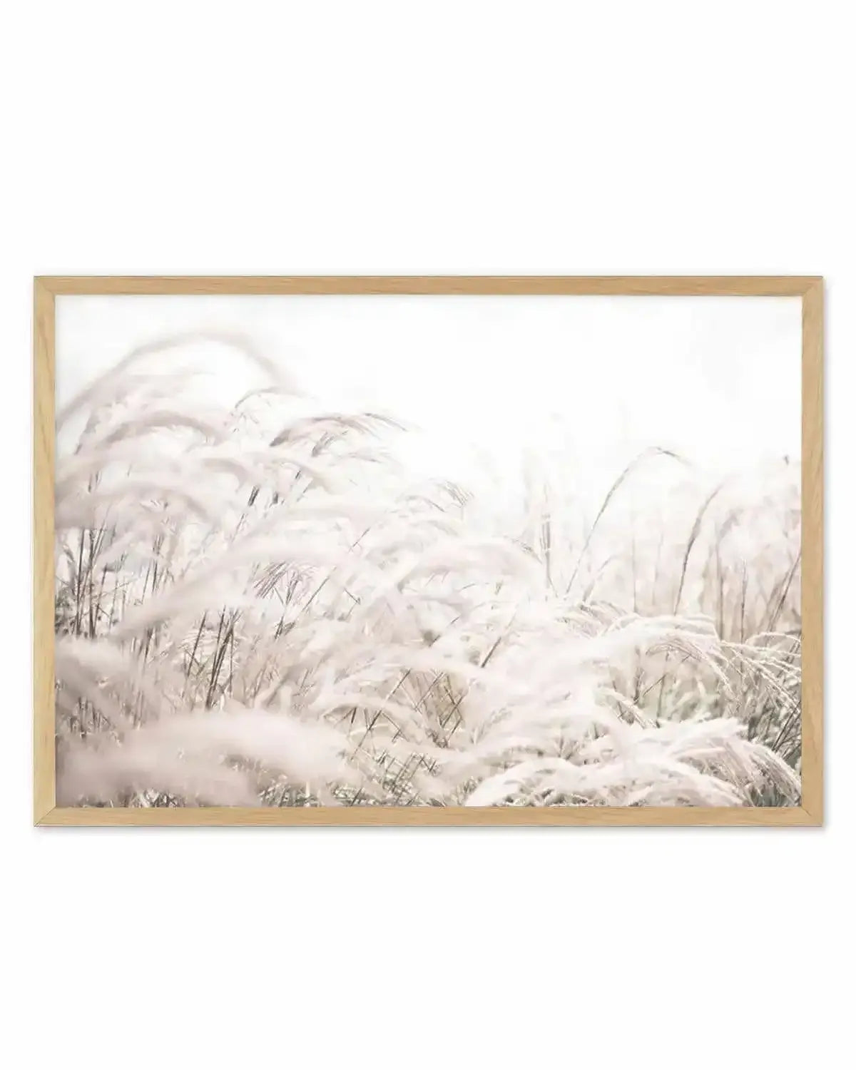 Seaside Pampas | LS Art Print from Olive et Oriel where you can shop wallpaper and artworks online