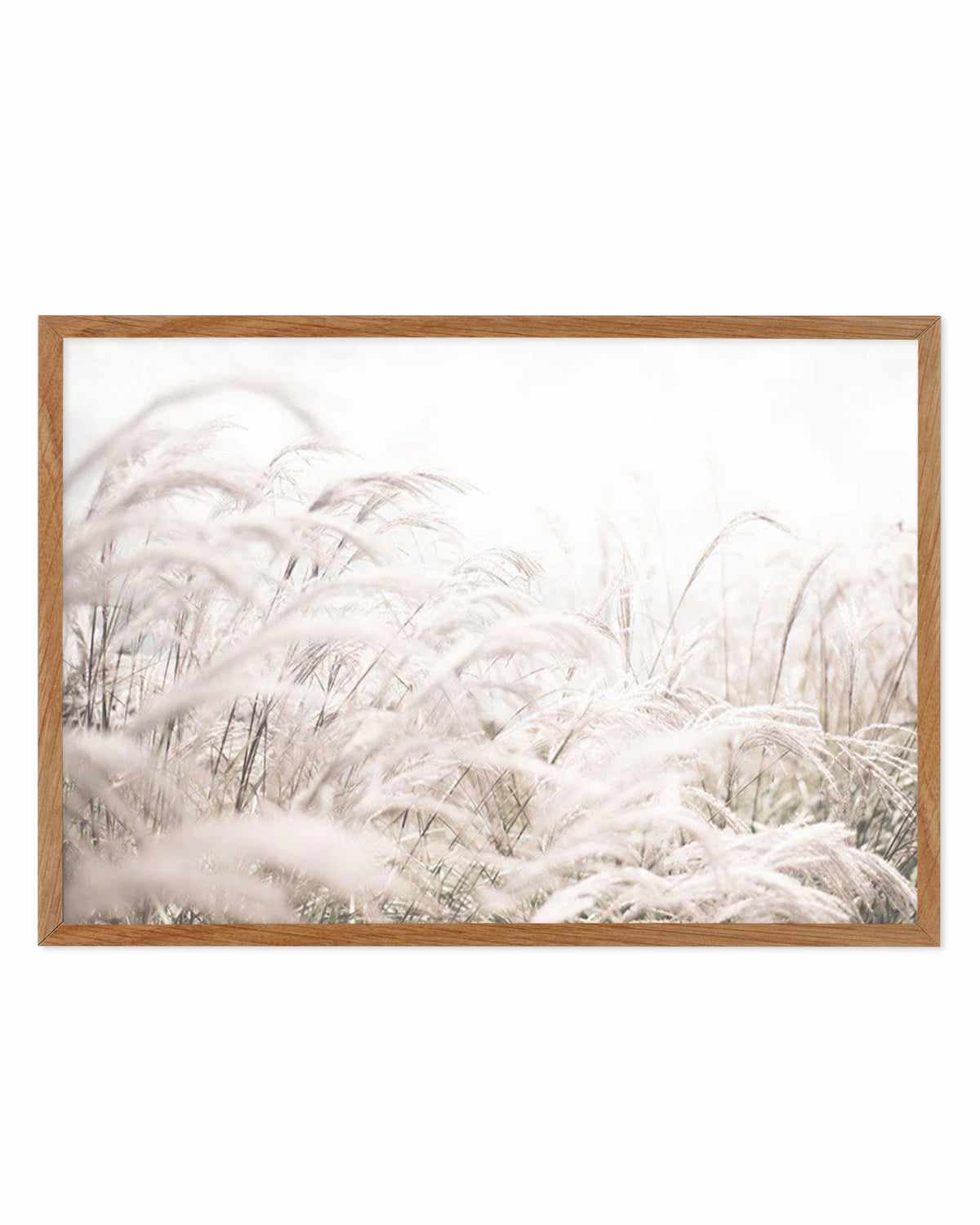 Seaside Pampas | LS Art Print