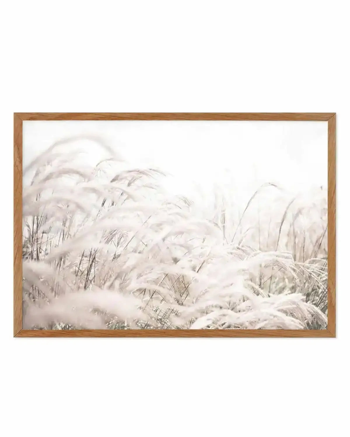 Seaside Pampas | LS Art Print from Olive et Oriel where you can shop wallpaper and artworks online