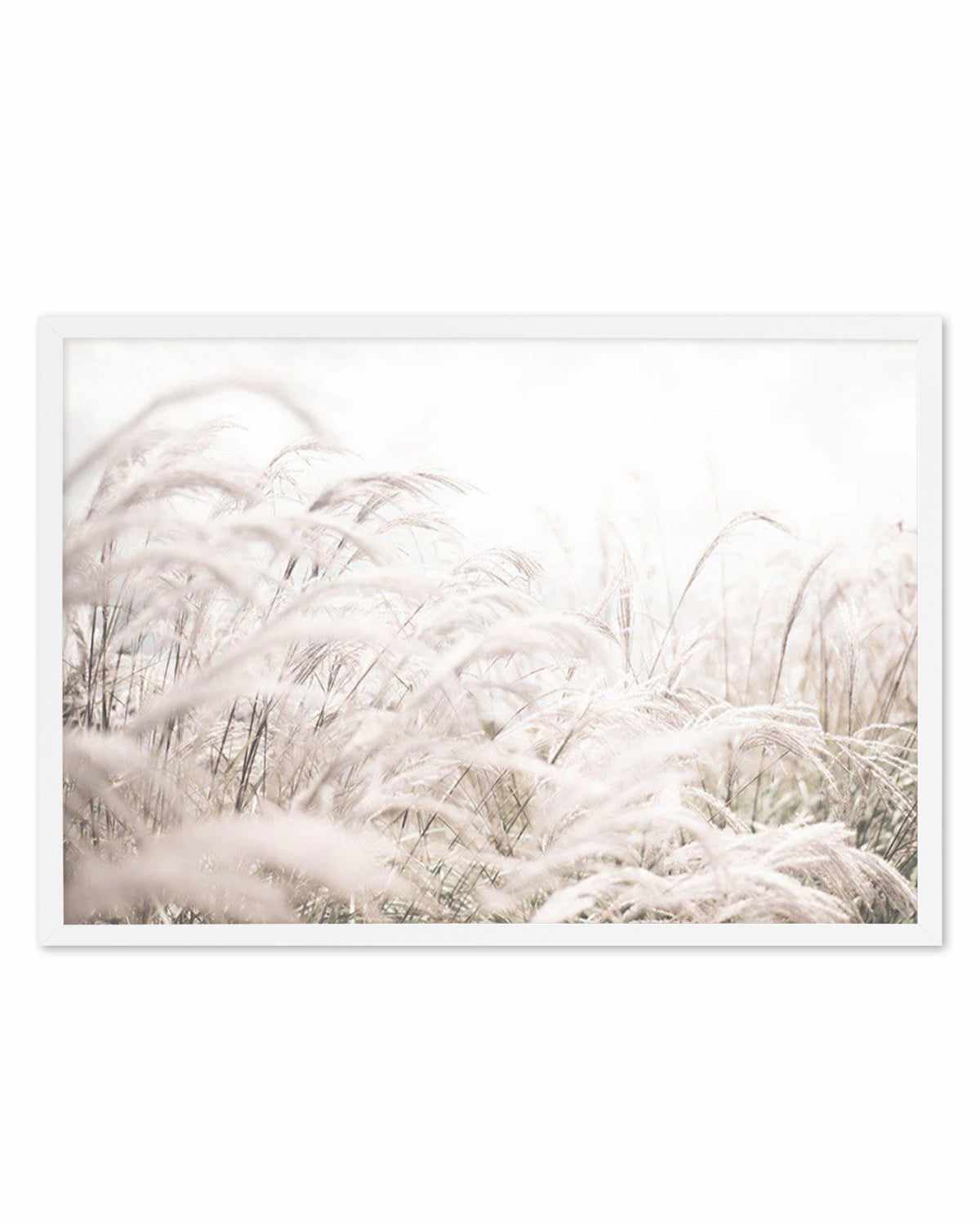 Seaside Pampas | LS Art Print