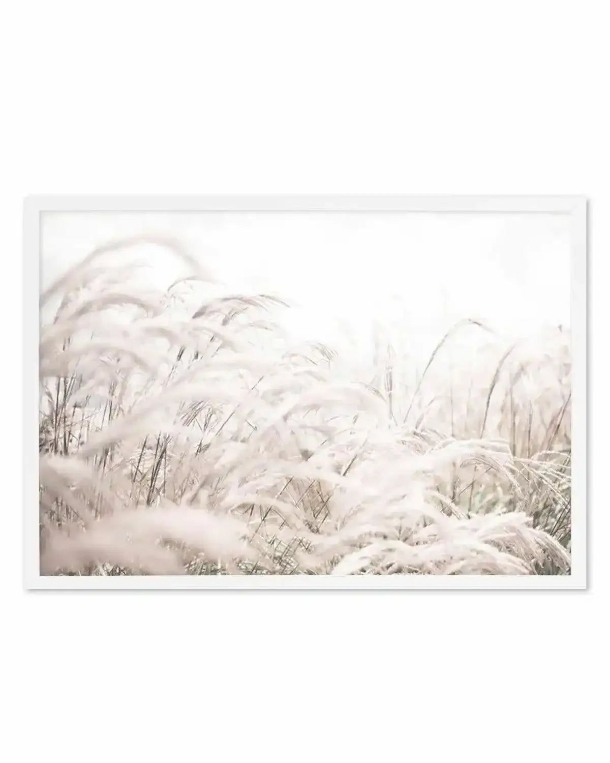 Seaside Pampas | LS Art Print from Olive et Oriel where you can shop wallpaper and artworks online