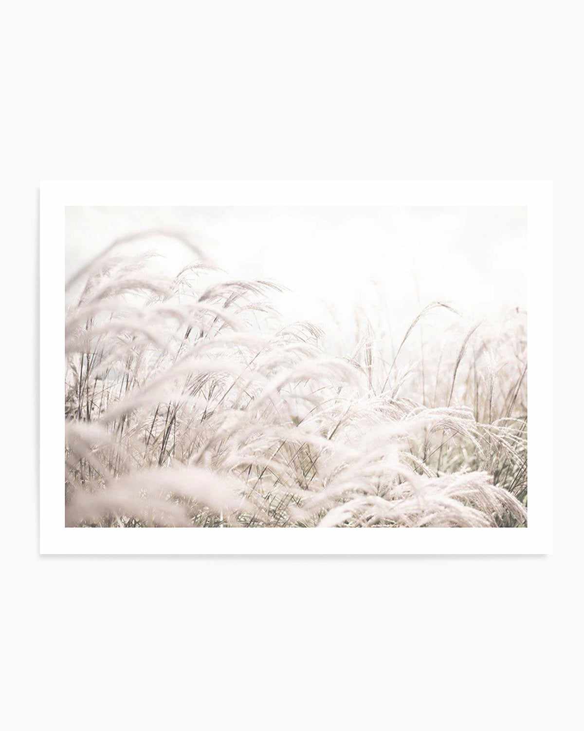 Seaside Pampas | LS Art Print