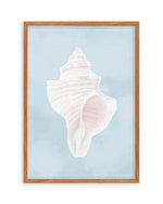 Seaside Shell II Art Print