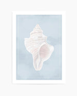 Seaside Shell II Art Print