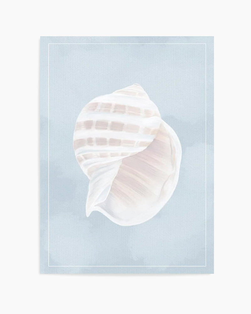 Seaside Shell III Art Print