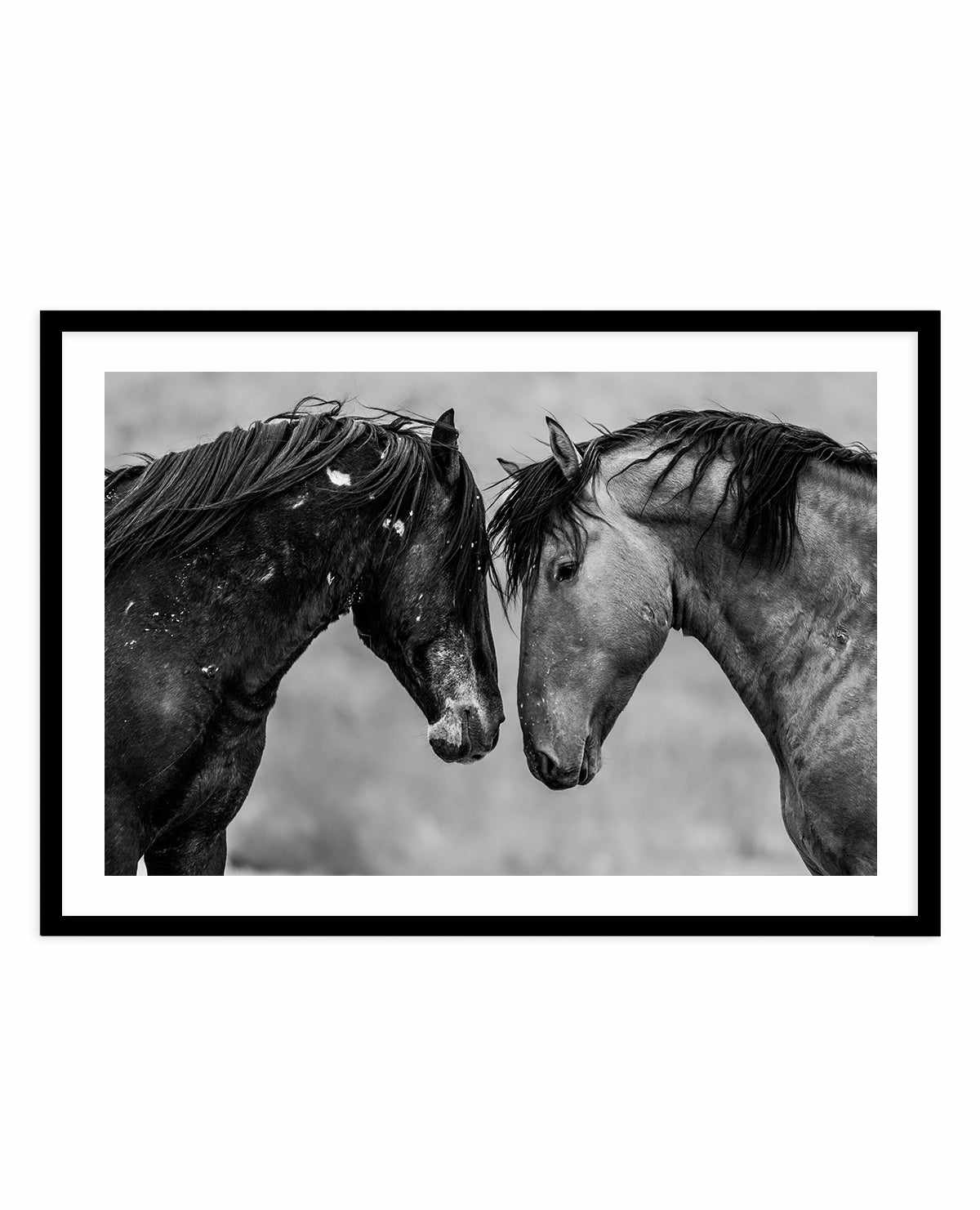 Secrets by Rylee Olsen | Art Print from Olive et Oriel where you can shop wallpaper and artworks online