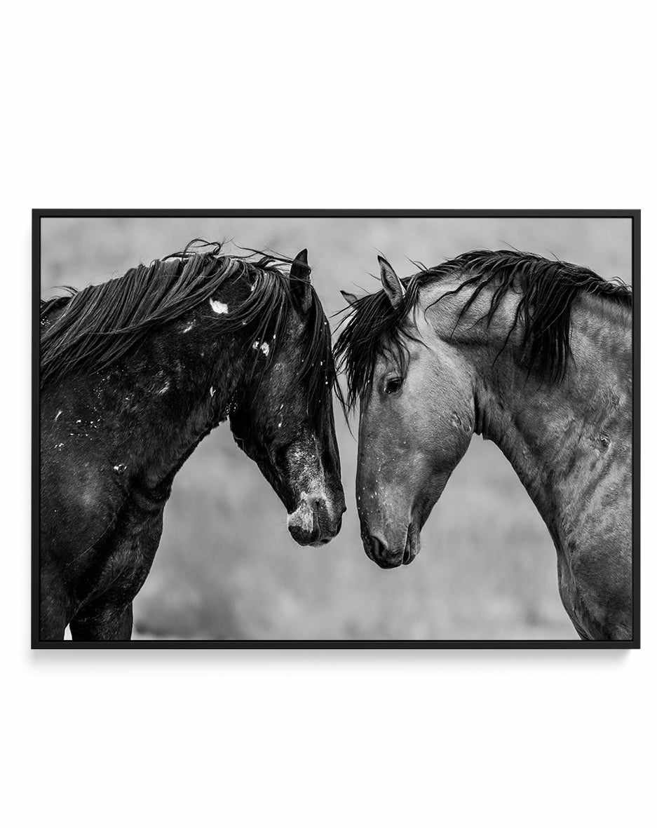 Secrets by Rylee Olsen | Framed Canvas Art Print from Olive et Oriel where you can shop wallpaper and artworks online