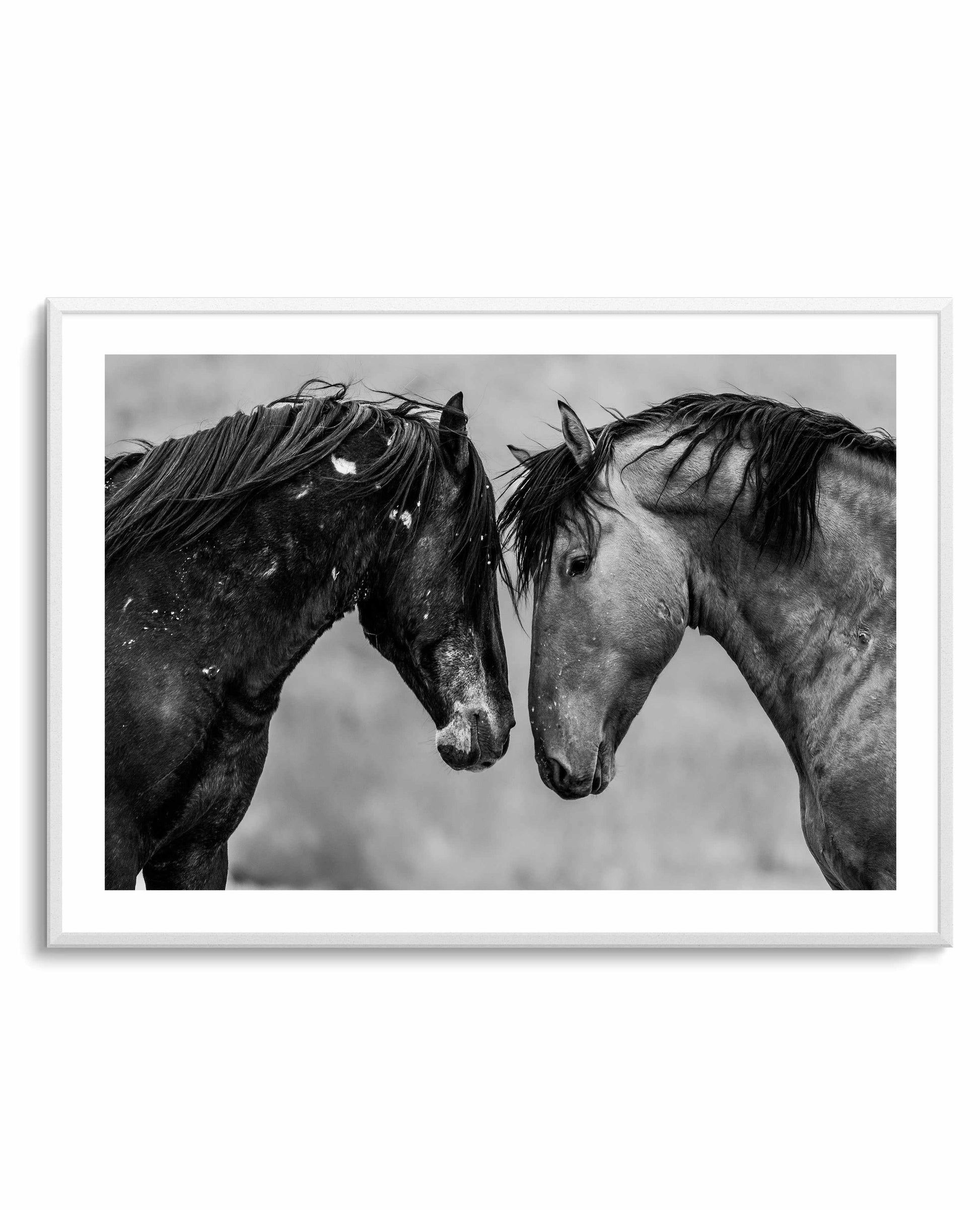 Secrets by Rylee Olsen | Art Print from Olive et Oriel where you can shop wallpaper and artworks online