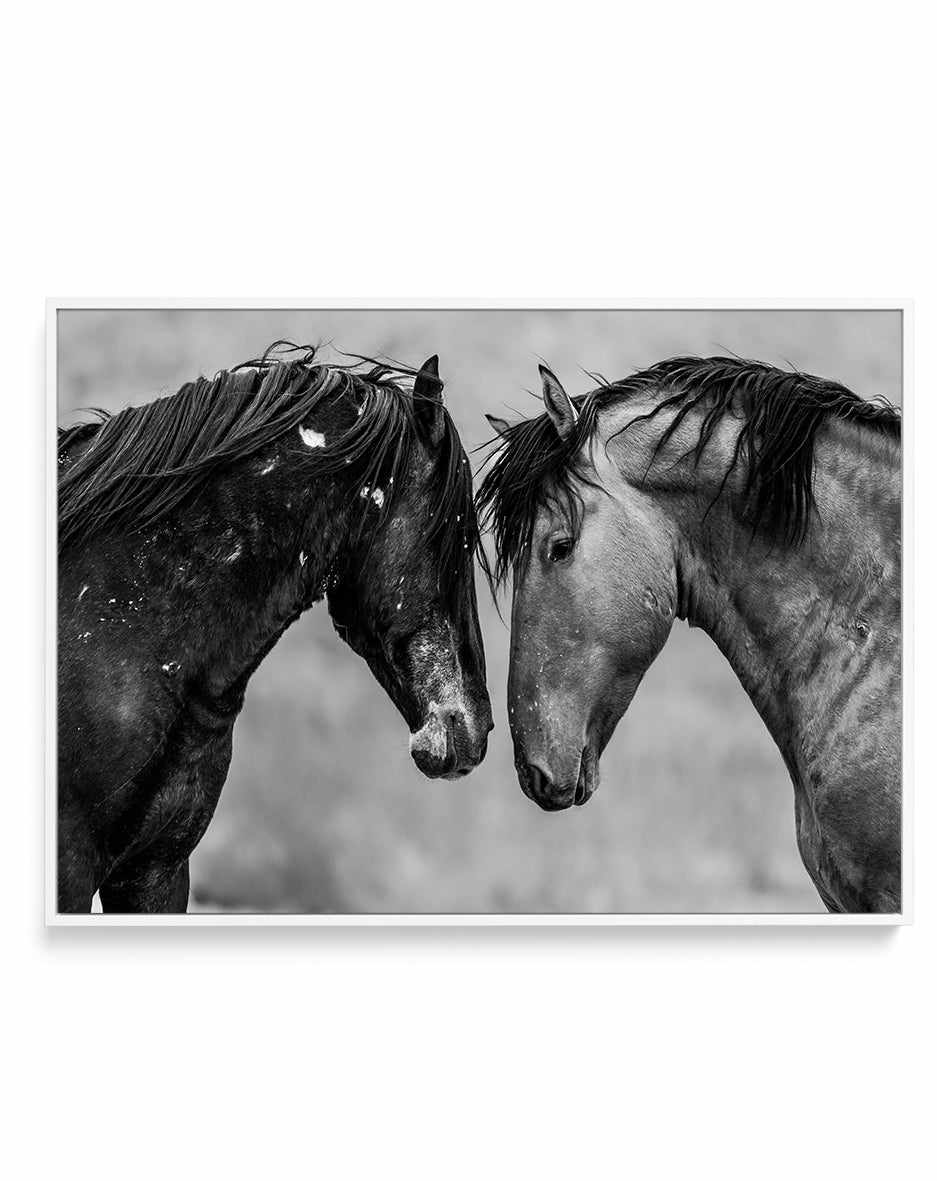 Secrets by Rylee Olsen | Framed Canvas Art Print from Olive et Oriel where you can shop wallpaper and artworks online