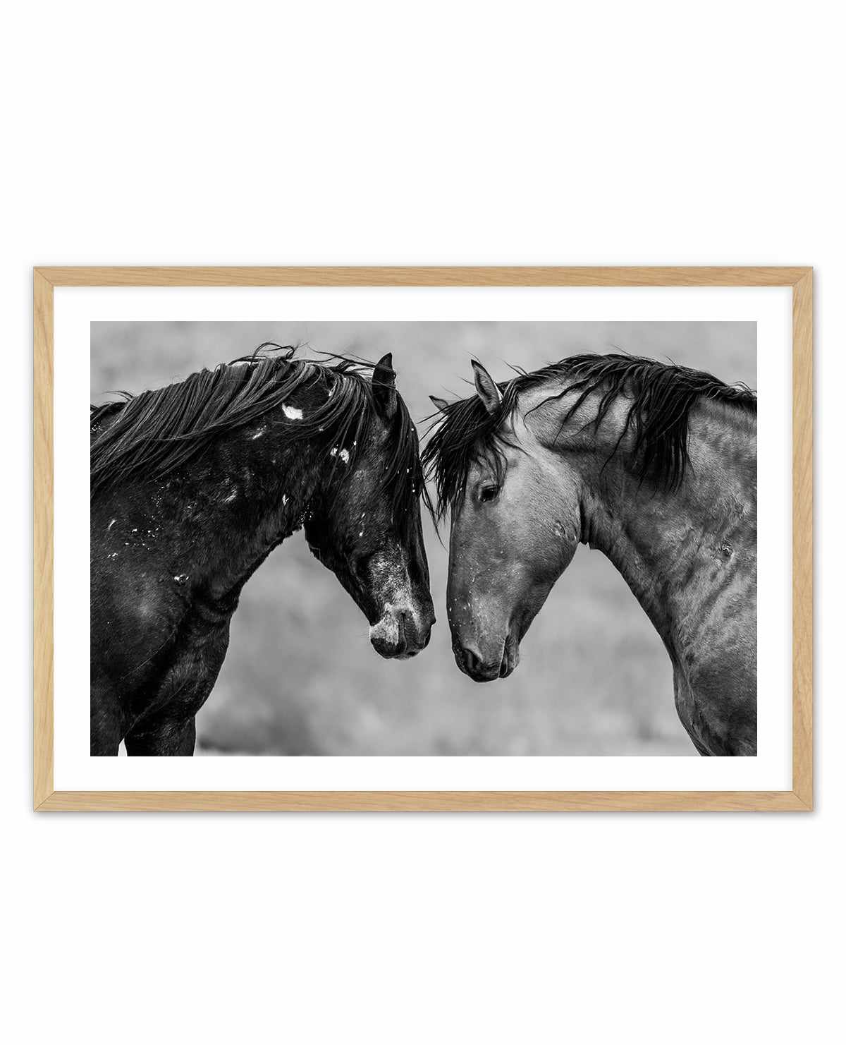 Secrets by Rylee Olsen | Art Print from Olive et Oriel where you can shop wallpaper and artworks online