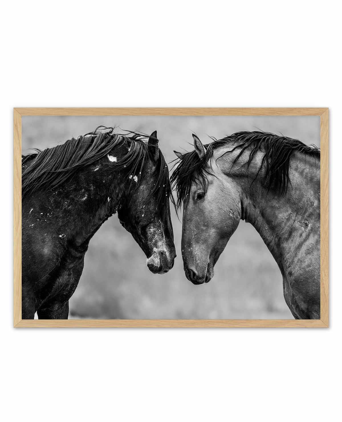 Secrets by Rylee Olsen | Art Print from Olive et Oriel where you can shop wallpaper and artworks online