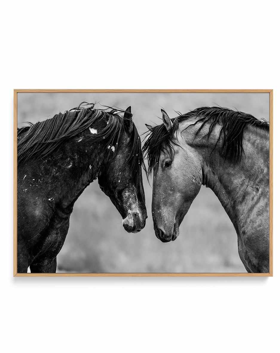 Secrets by Rylee Olsen | Framed Canvas Art Print from Olive et Oriel where you can shop wallpaper and artworks online