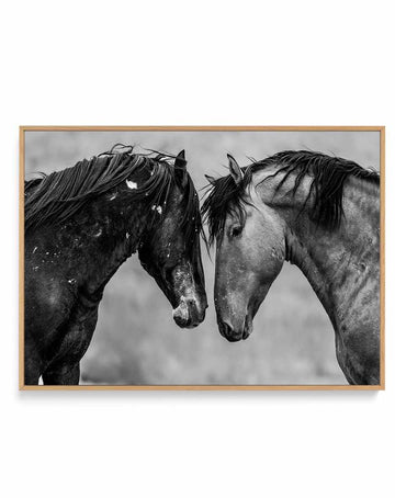 Secrets by Rylee Olsen | Framed Canvas Art Print from Olive et Oriel where you can shop wallpaper and artworks online