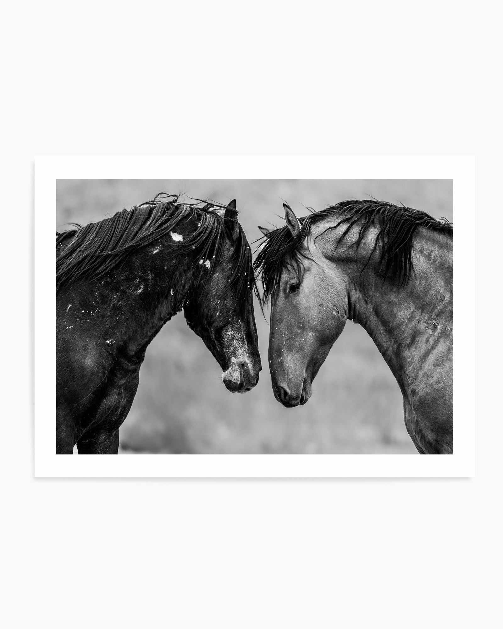 Secrets by Rylee Olsen | Art Print from Olive et Oriel where you can shop wallpaper and artworks online