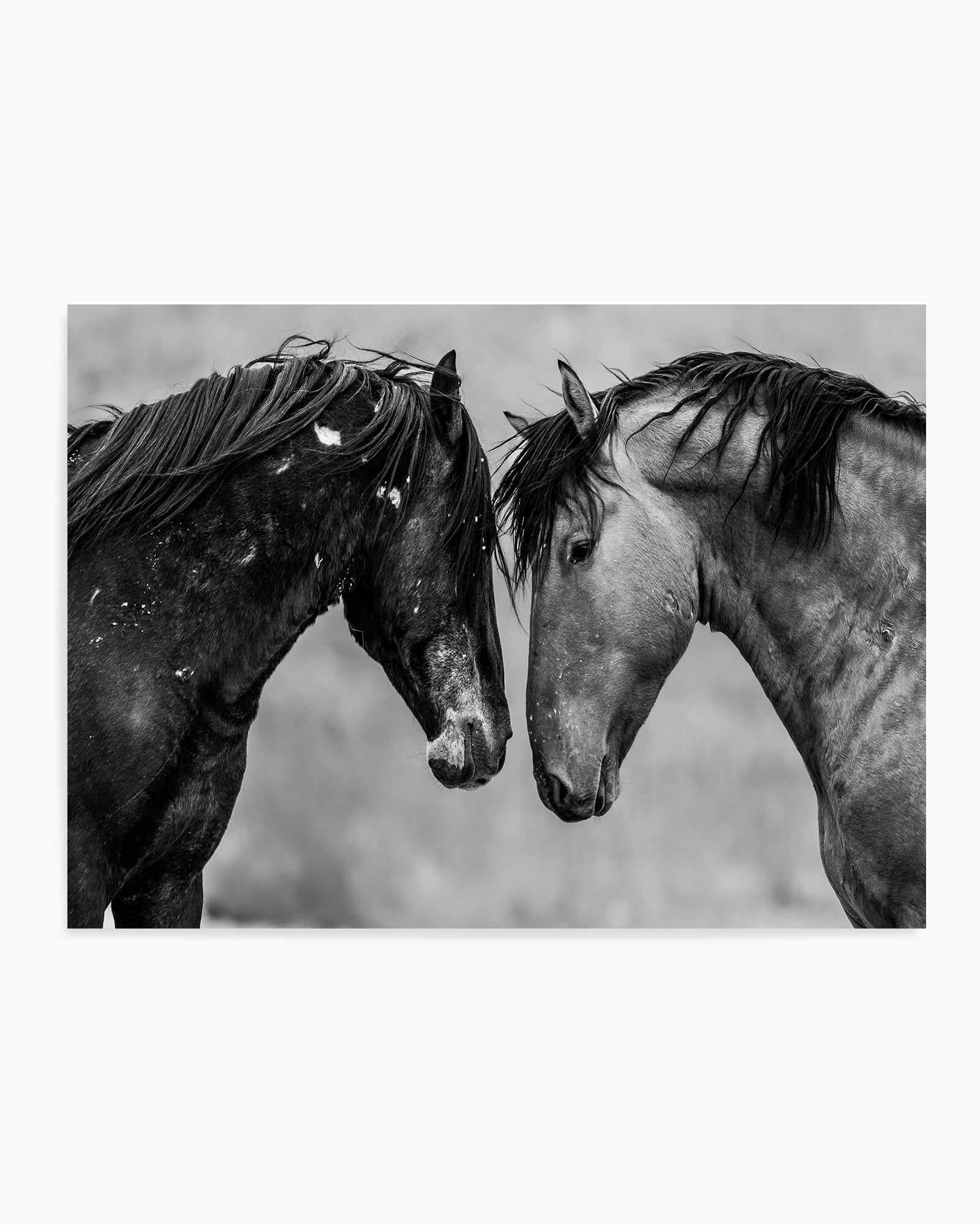 Secrets by Rylee Olsen | Art Print from Olive et Oriel where you can shop wallpaper and artworks online