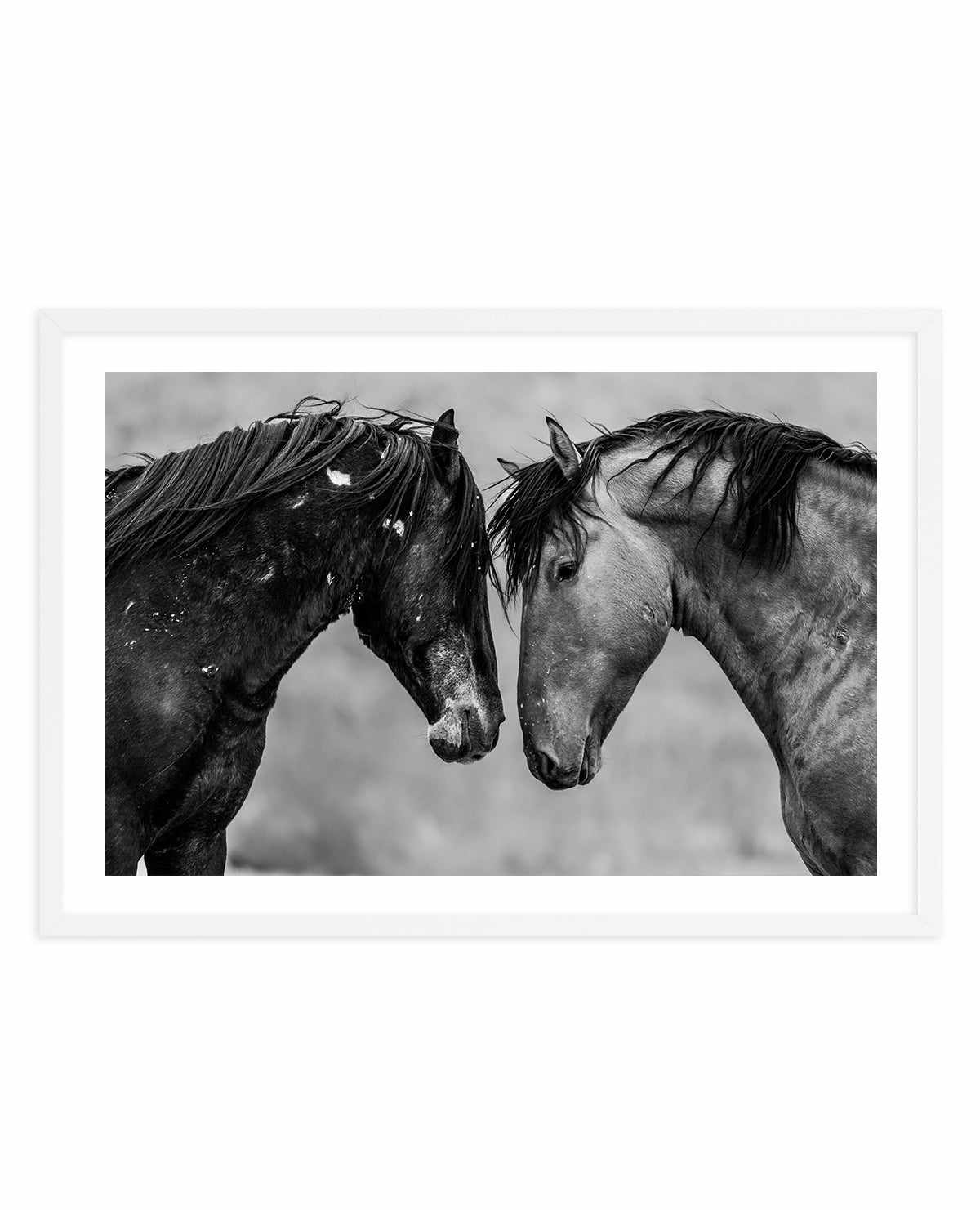 Secrets by Rylee Olsen | Art Print from Olive et Oriel where you can shop wallpaper and artworks online