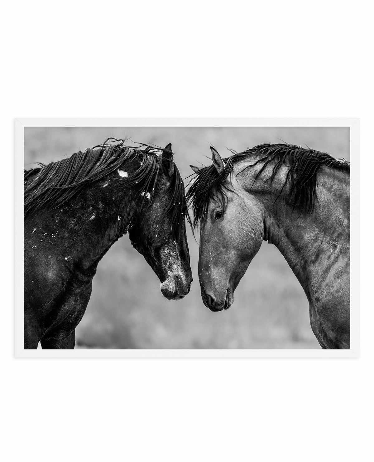 Secrets by Rylee Olsen | Art Print from Olive et Oriel where you can shop wallpaper and artworks online