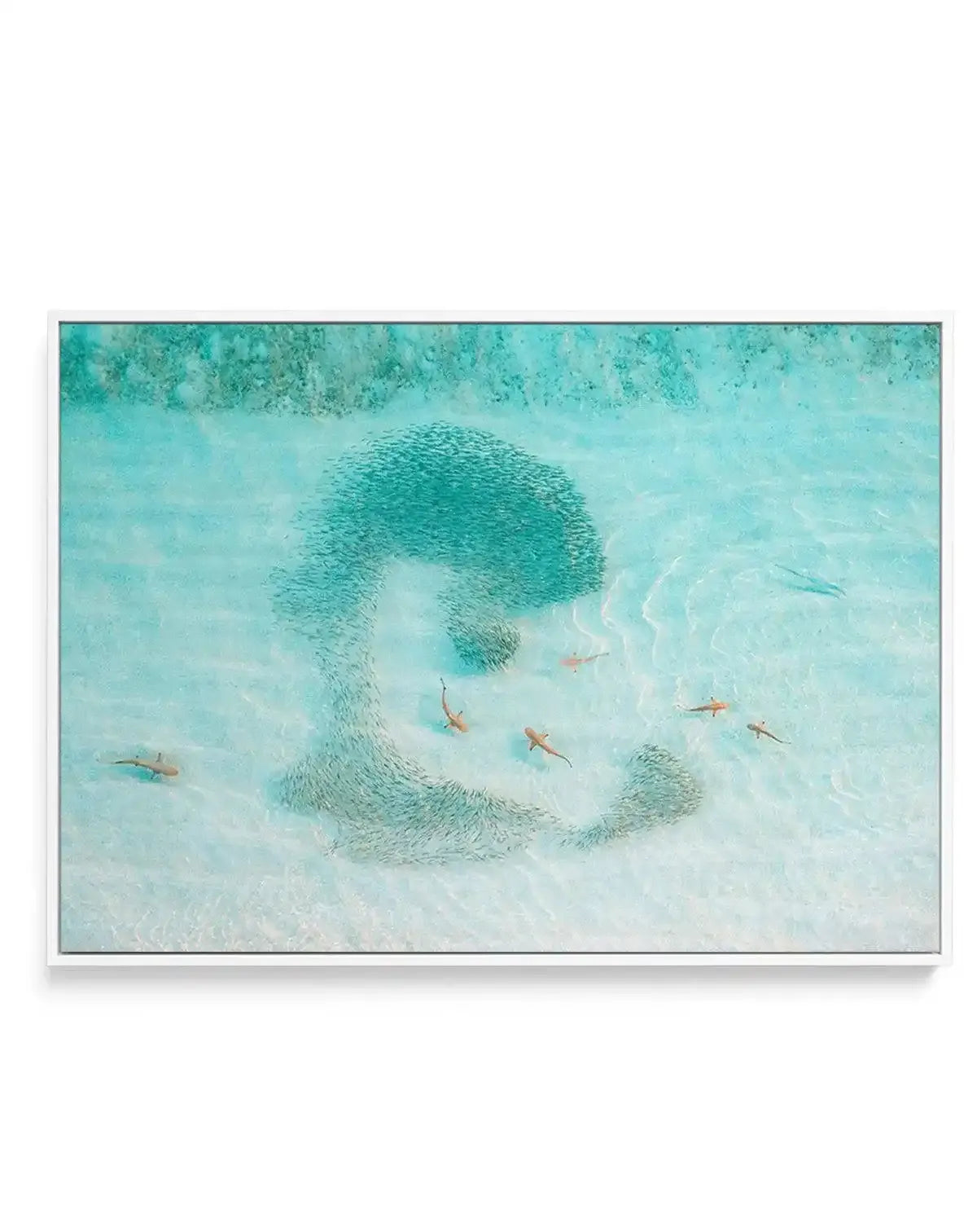 Seven Out | WA | Framed Canvas-CANVAS-You can shop wall art online with Olive et Oriel for everything from abstract art to fun kids wall art. Our beautiful modern art prints and canvas art are available from large canvas prints to wall art paintings and our proudly Australian artwork collection offers only the highest quality framed large wall art and canvas art Australia - You can buy fashion photography prints or Hampton print posters and paintings on canvas from Olive et Oriel and have them d