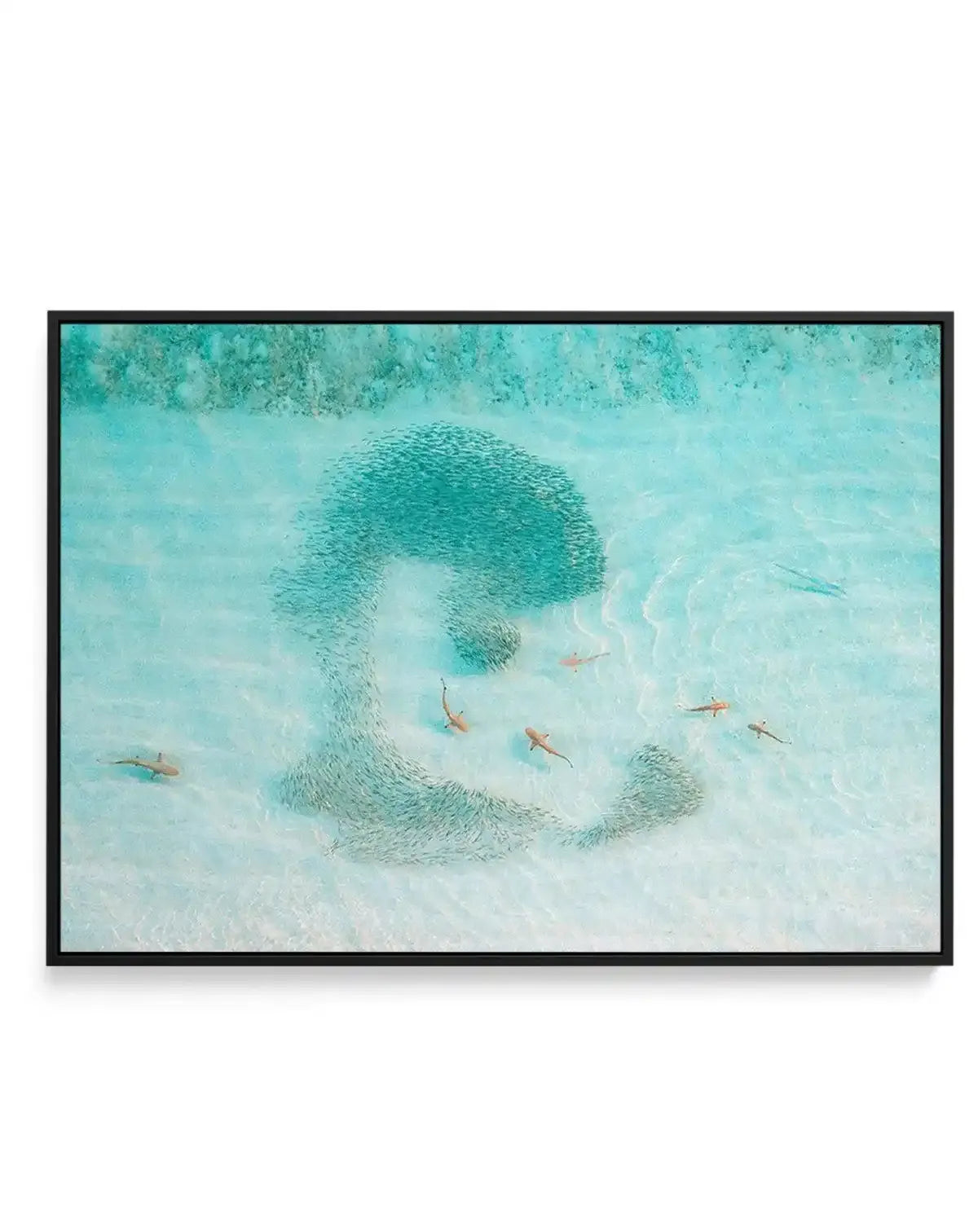 Seven Out | WA | Framed Canvas-CANVAS-You can shop wall art online with Olive et Oriel for everything from abstract art to fun kids wall art. Our beautiful modern art prints and canvas art are available from large canvas prints to wall art paintings and our proudly Australian artwork collection offers only the highest quality framed large wall art and canvas art Australia - You can buy fashion photography prints or Hampton print posters and paintings on canvas from Olive et Oriel and have them d