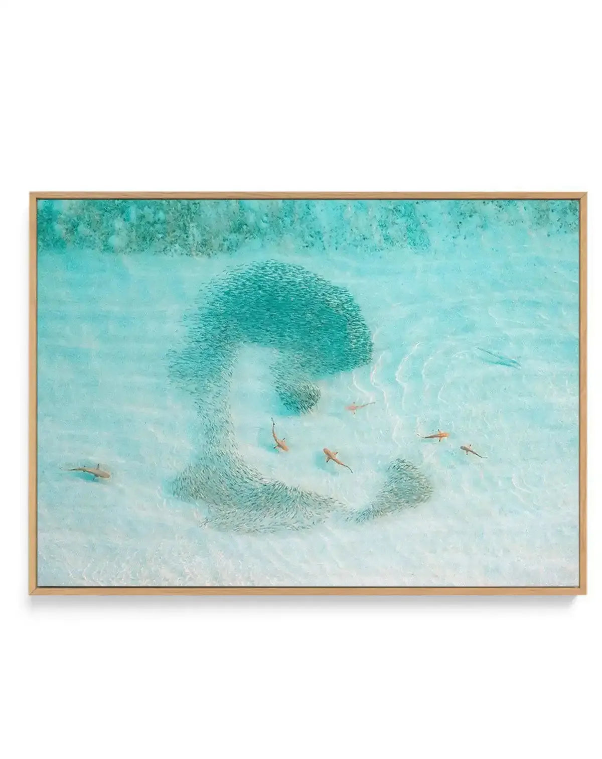 Seven Out | WA | Framed Canvas-CANVAS-You can shop wall art online with Olive et Oriel for everything from abstract art to fun kids wall art. Our beautiful modern art prints and canvas art are available from large canvas prints to wall art paintings and our proudly Australian artwork collection offers only the highest quality framed large wall art and canvas art Australia - You can buy fashion photography prints or Hampton print posters and paintings on canvas from Olive et Oriel and have them d