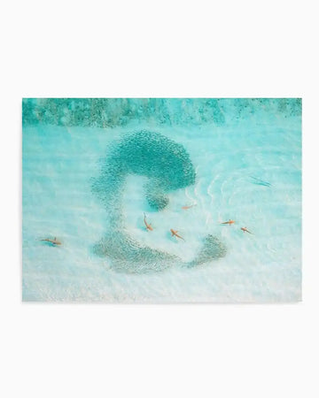 Aerial photography art print of a school of small fish forming a large, abstract shape in shallow, clear turquoise water with a sandy bottom. Six small, light brown sharks are scattered around the edges of the fish formation.
